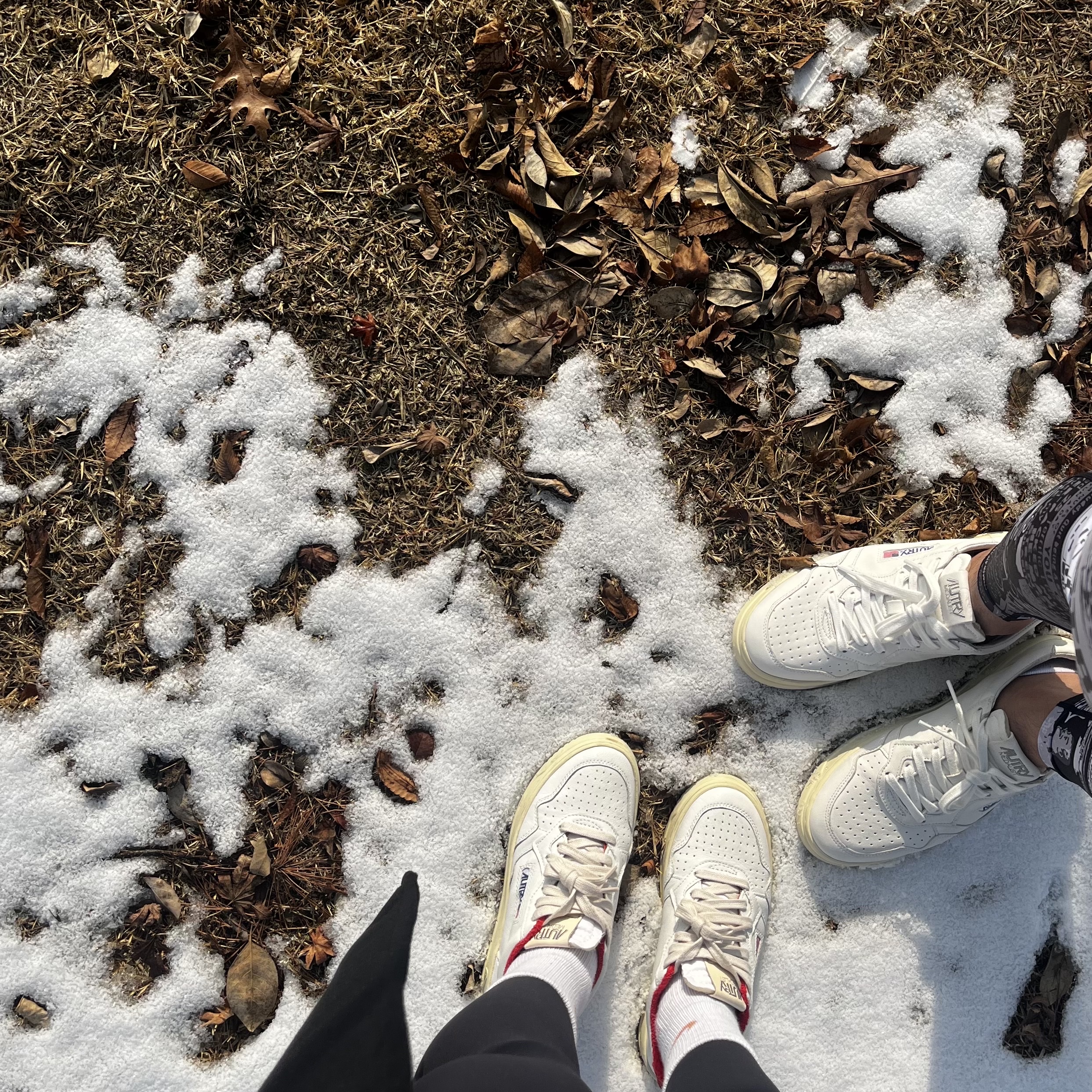 Autry Medalist Low Goatskin Sneakers White, (W) Autry Medalist Low Goatskin Sneakers White Red 착용 스타일 - 2