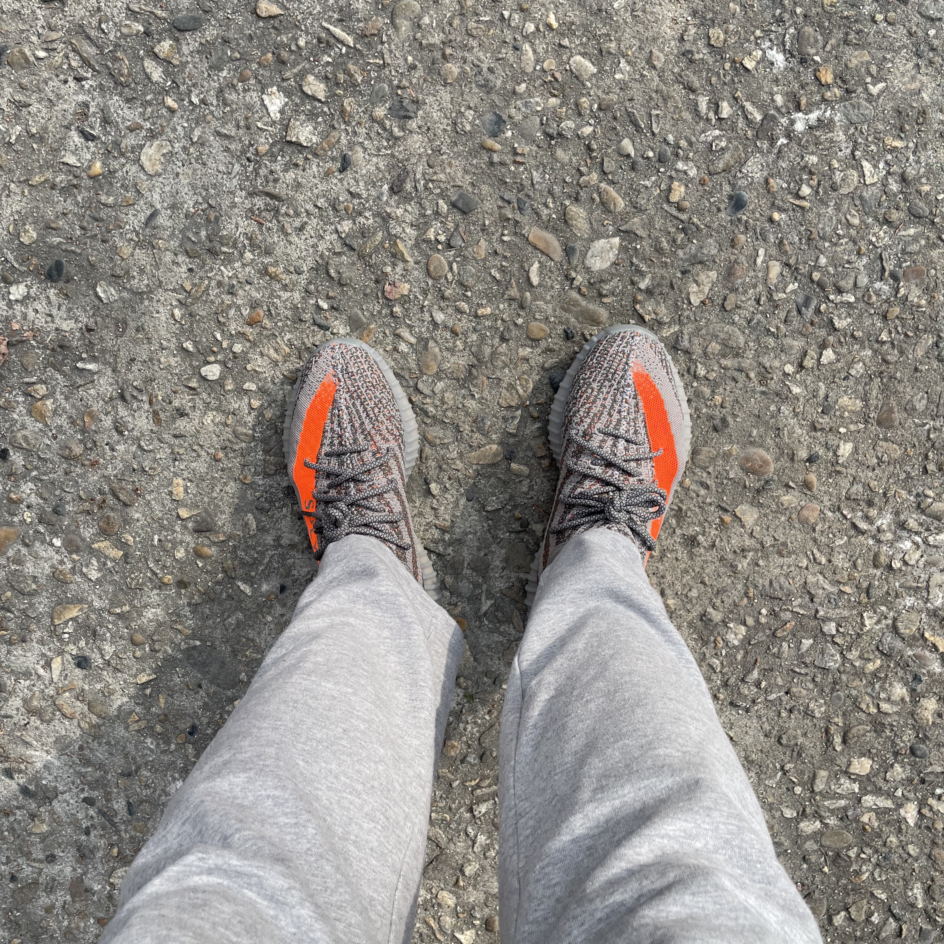 Adidas Yeezy Boost 350 V2 Beluga - Reflective 착용 스타일