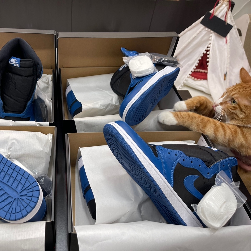 Jordan 1 Retro High OG Dark Marina Blue 착용 스타일