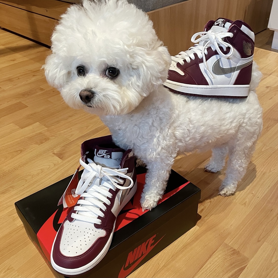 Jordan 1 Retro High OG Bordeaux 착용 스타일