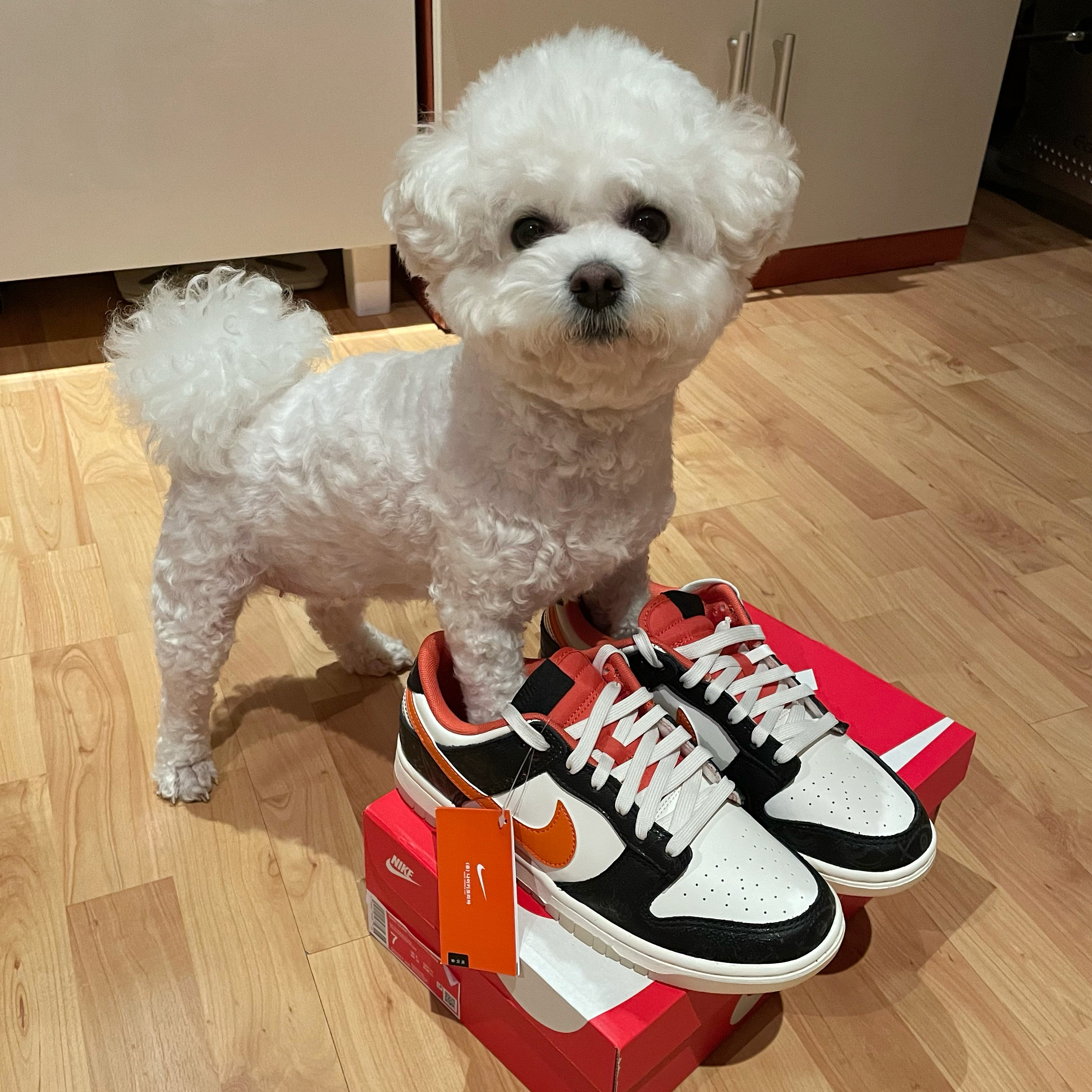 Nike Dunk Low Retro PRM Halloween 착용 스타일