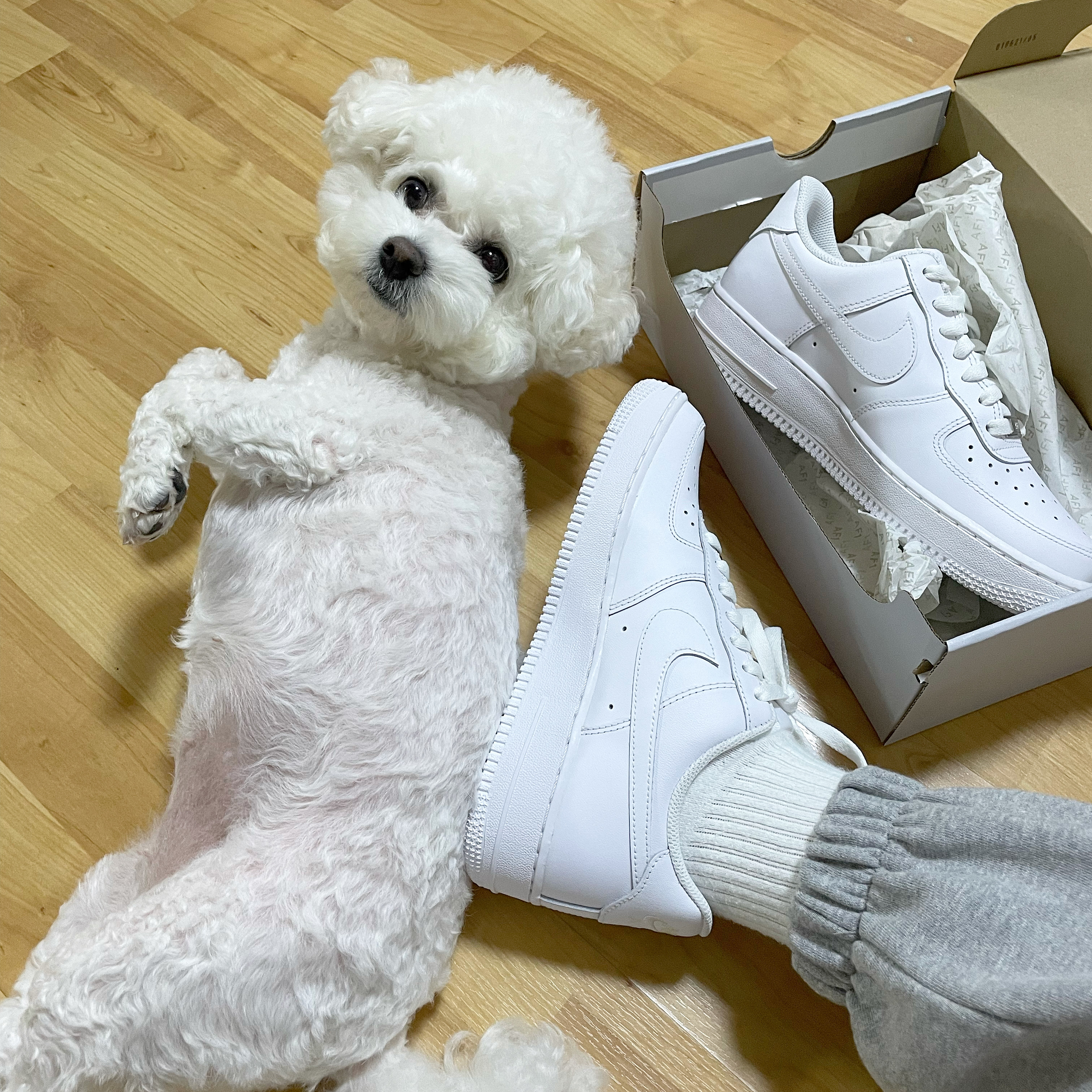 (W) Nike Air Force 1 '07 Low White 착용 스타일
