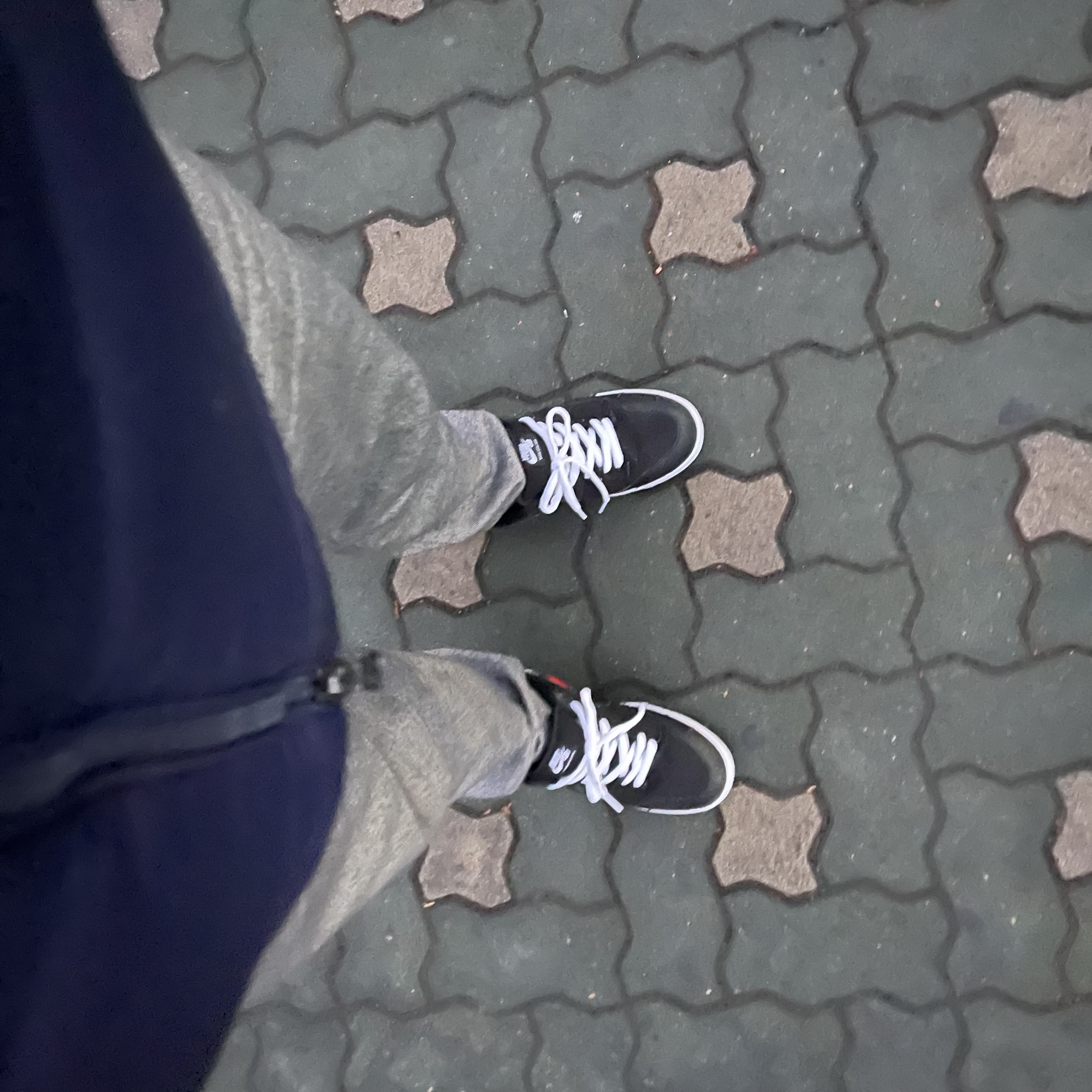 Nike x Verdy SB Dunk Low Pro Wasted Youth (Special Box) 착용 스타일 - 2