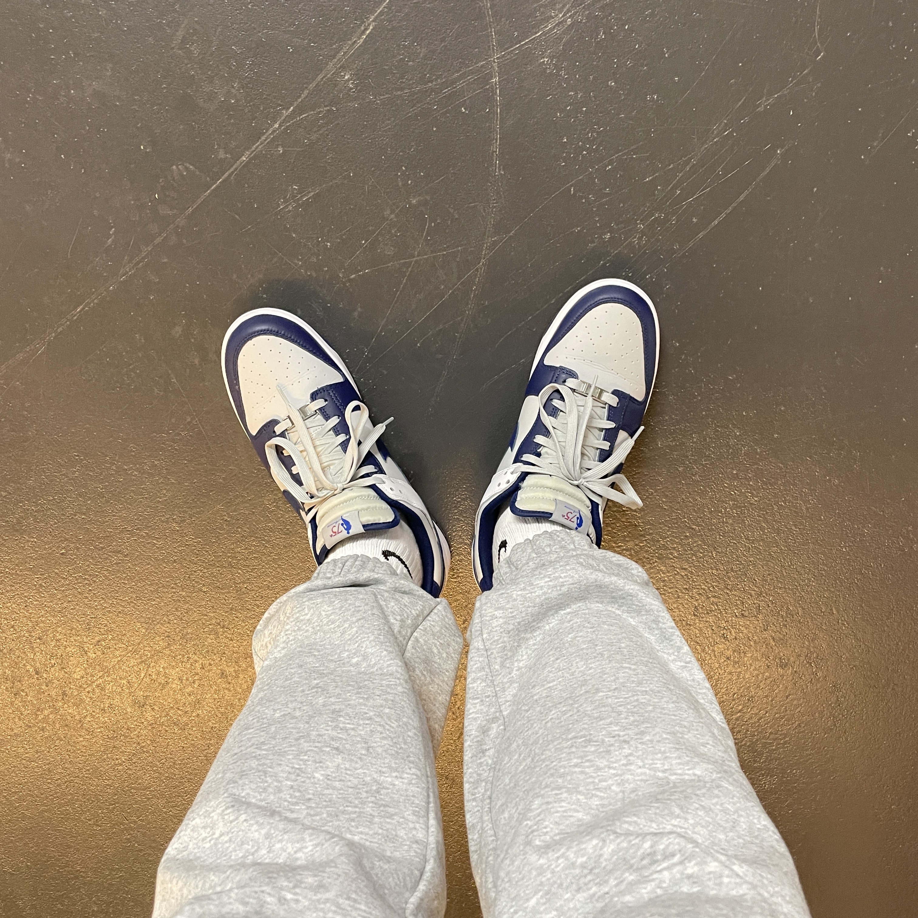 Nike x NBA Dunk Low Retro EMB Nets 착용 스타일