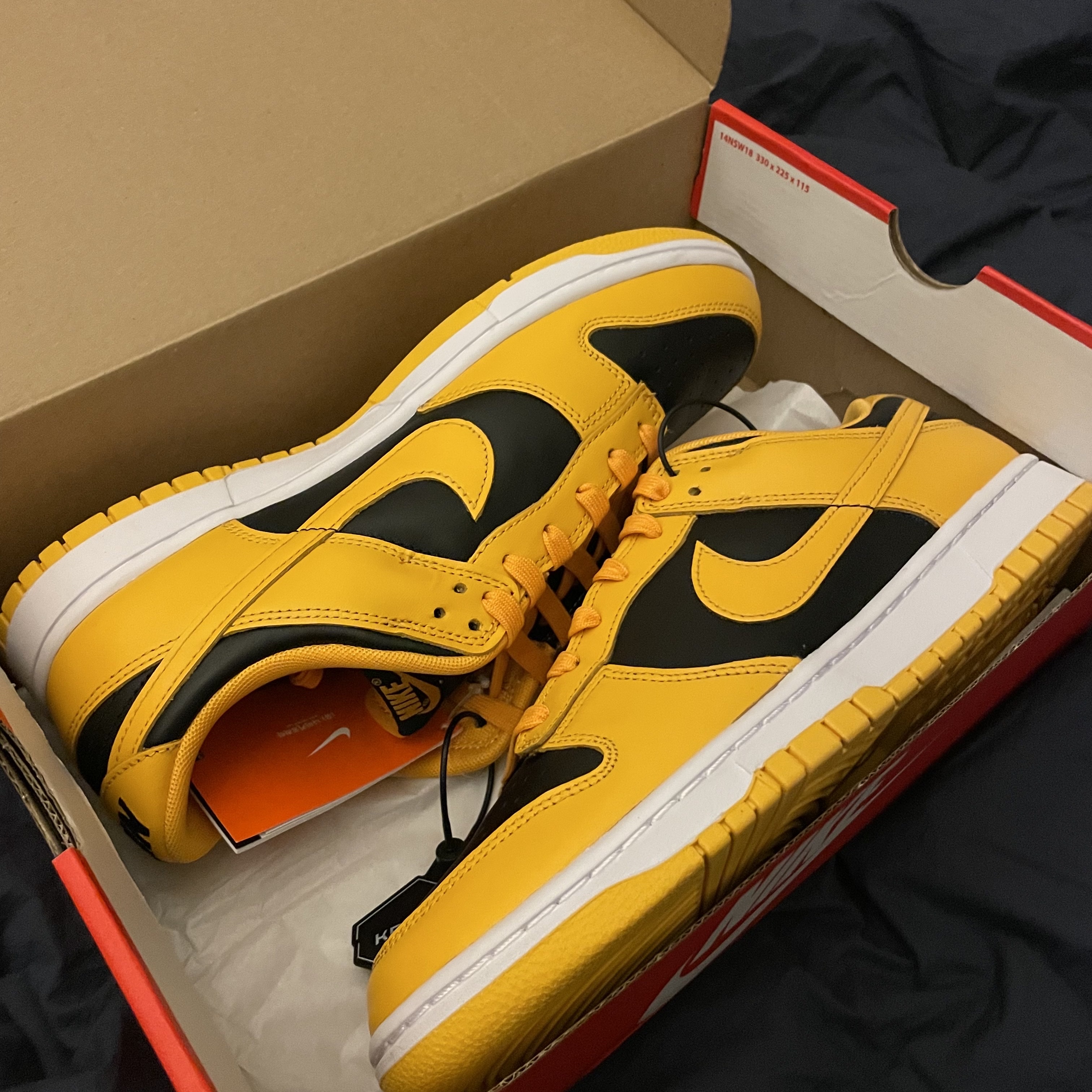 Nike Dunk Low Retro Championship Goldenrod 착용 스타일 - 2