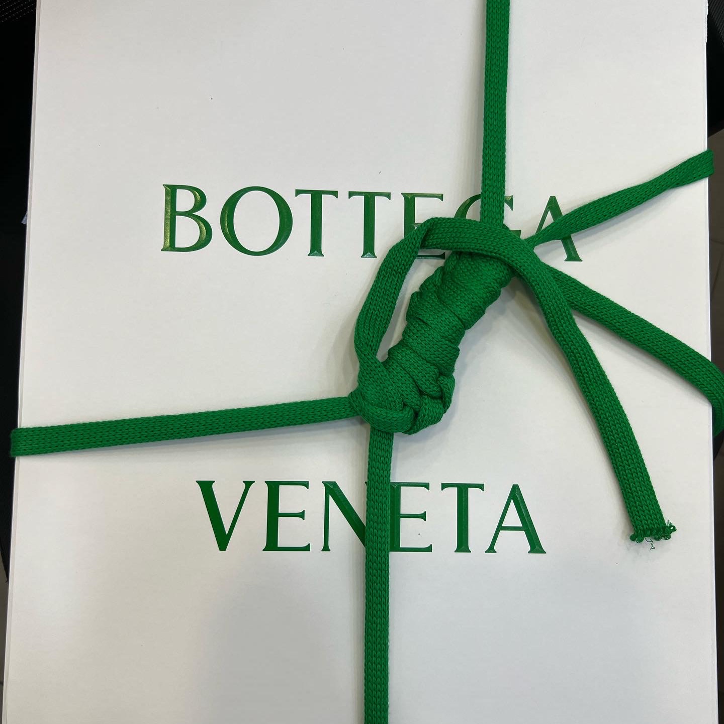 Bottega Veneta Padded Tech Cassette Parakeet 착용 스타일 - 1