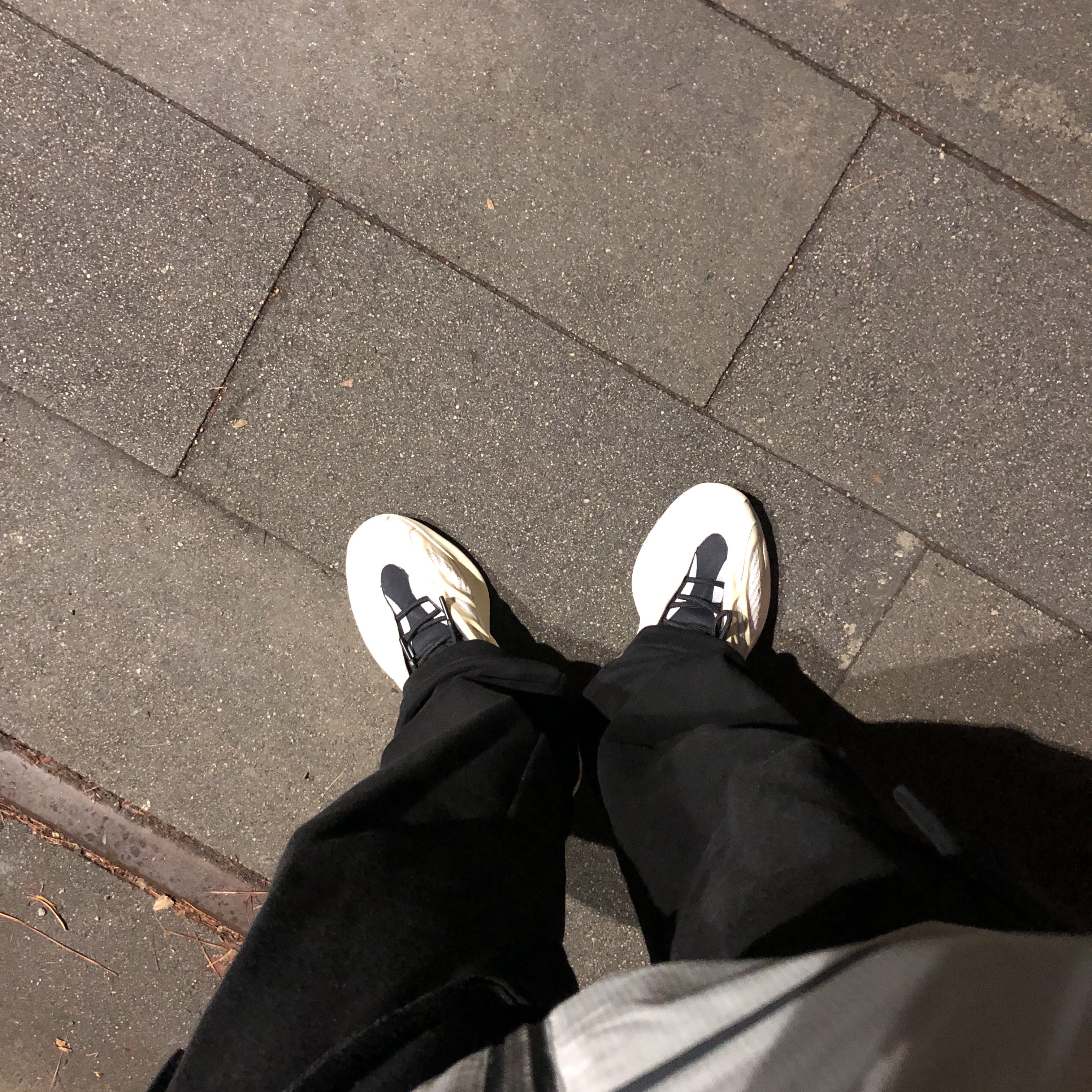 Adidas Yeezy 700 V3 Azael 2019, Palace Gore-tex Infinium P-Tech Jacket Grey - 21FW 착용 스타일