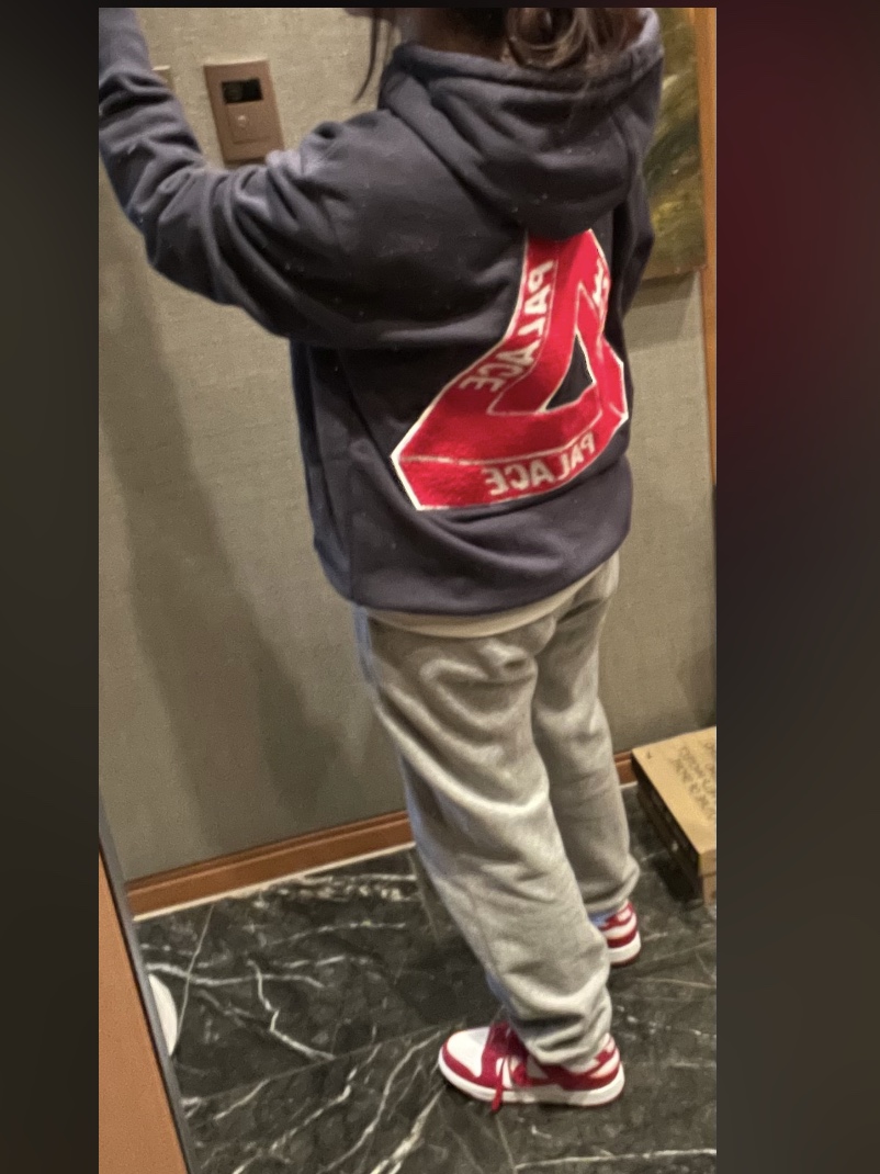 Palace Tri-Chenille Hood Navy - 21FW, (W) Nike Dunk Low Next Nature Gym Red 착용 스타일 - 3