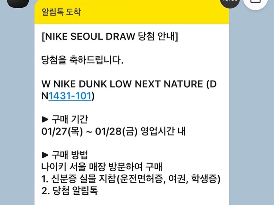 (W) Nike Dunk Low Next Nature Gym Red 착용 스타일 - 3