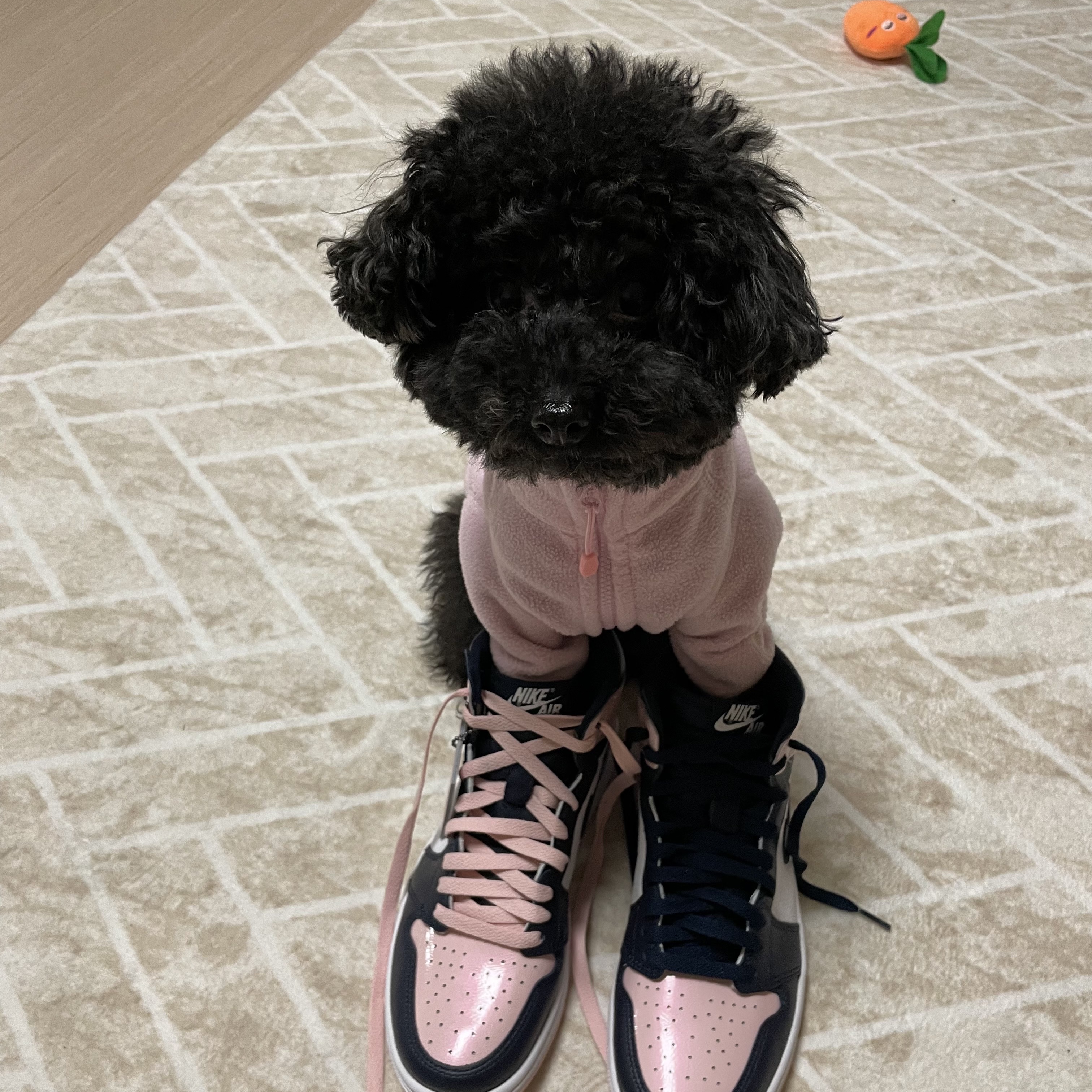 (W) Jordan 1 Retro High OG Atmosphere 착용 스타일 - 1