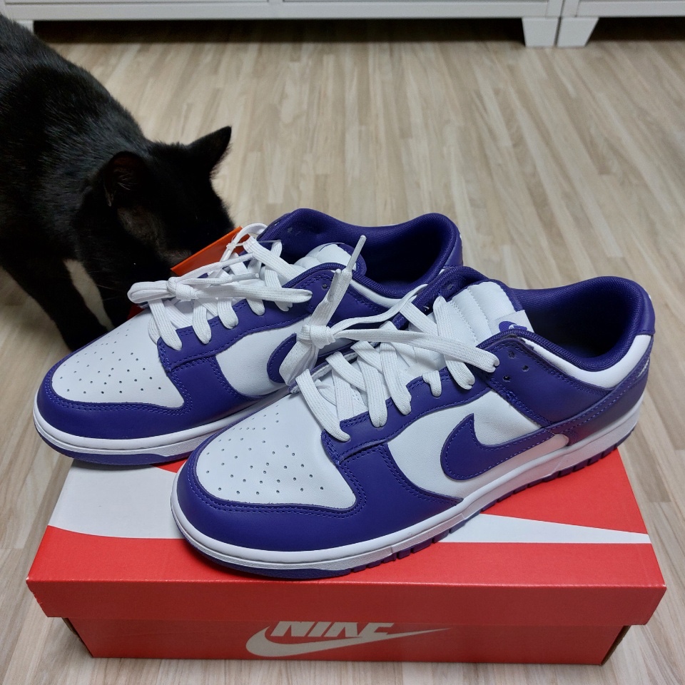 Nike Dunk Low Retro Championship Court Purple 착용 스타일