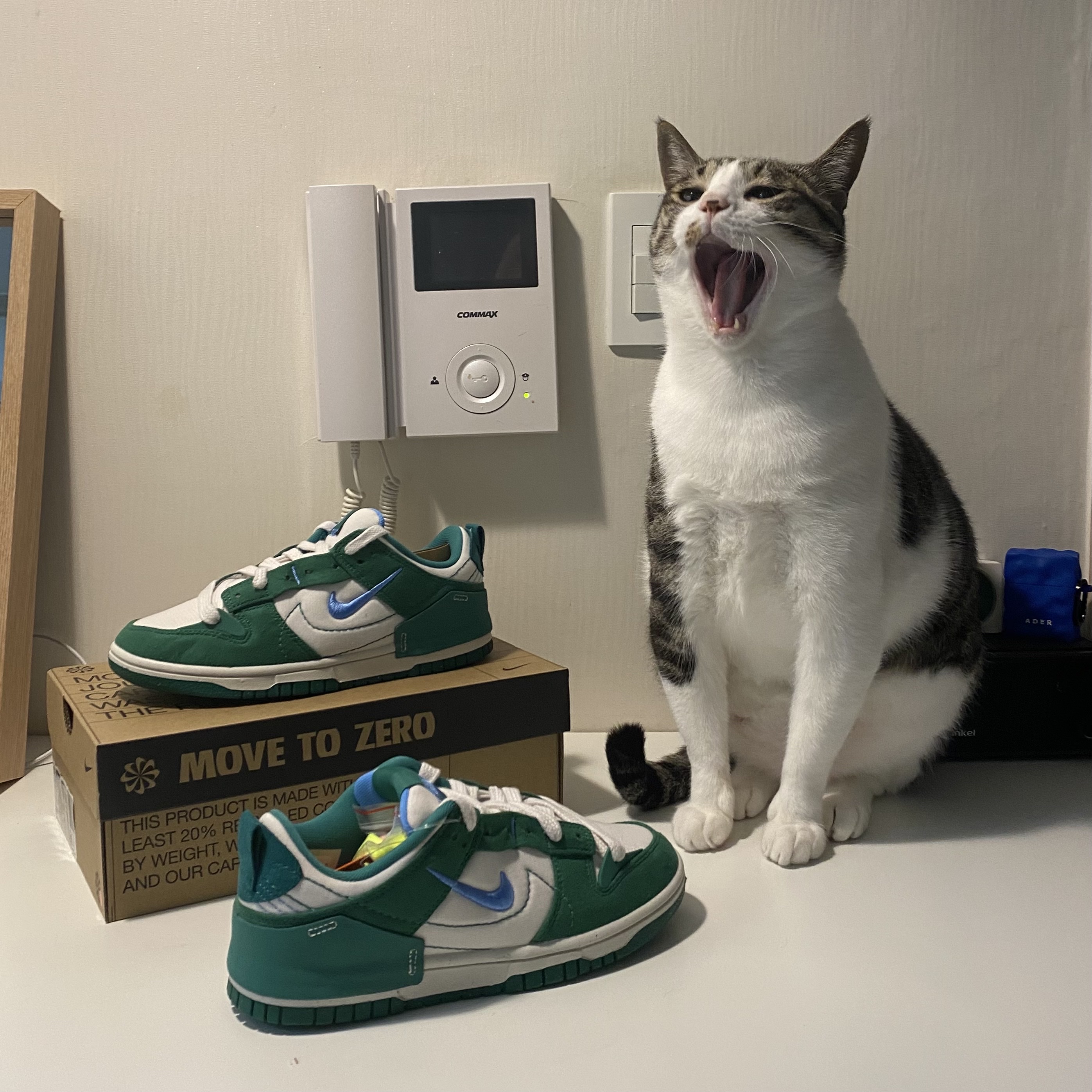 (W) Nike Dunk Low Disrupt 2 Phantom University Blue, Casetify x Ader Error AirPods Case 착용 스타일 - 1