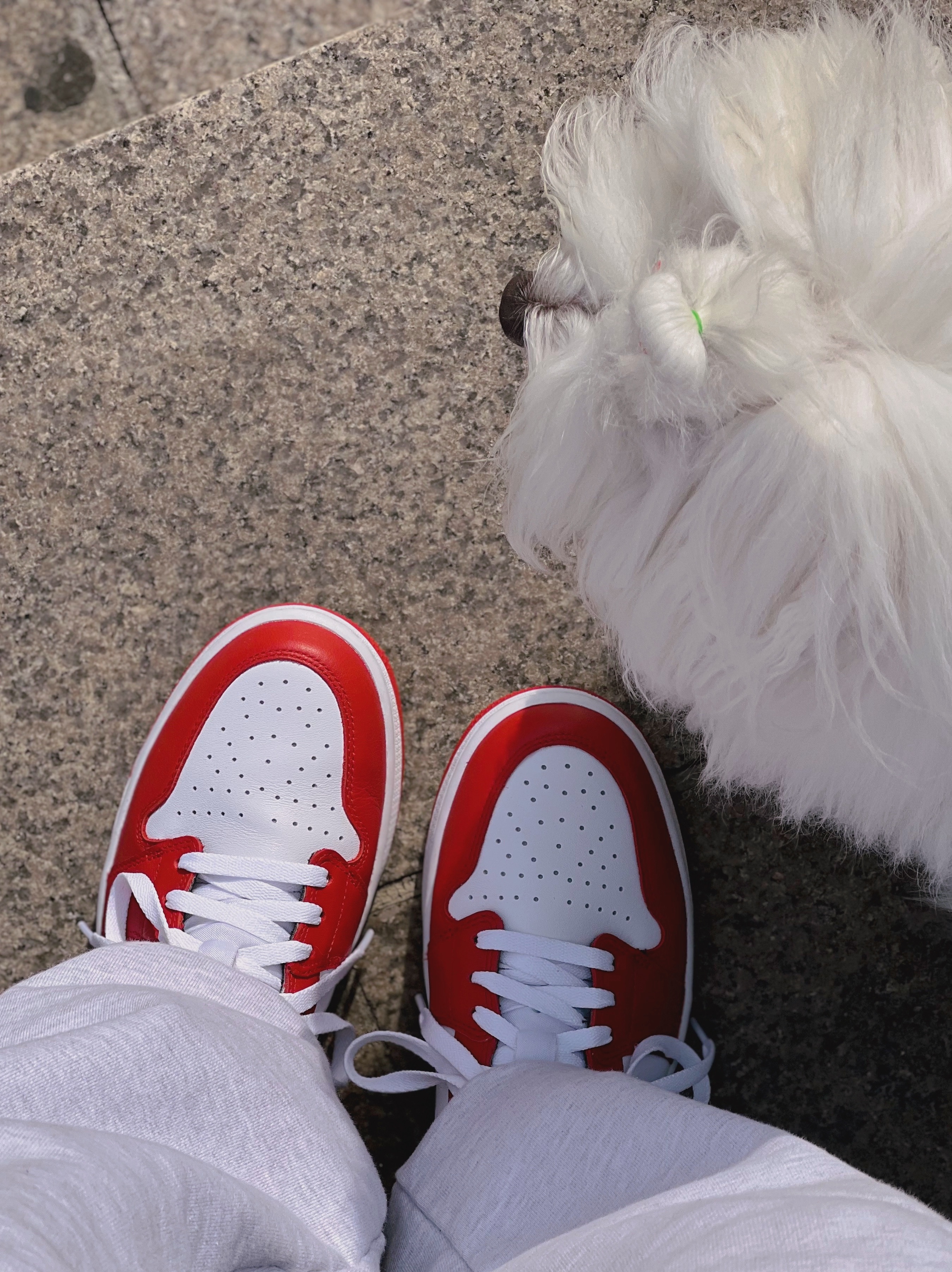 Jordan 1 Low Golf Chicago 착용 스타일