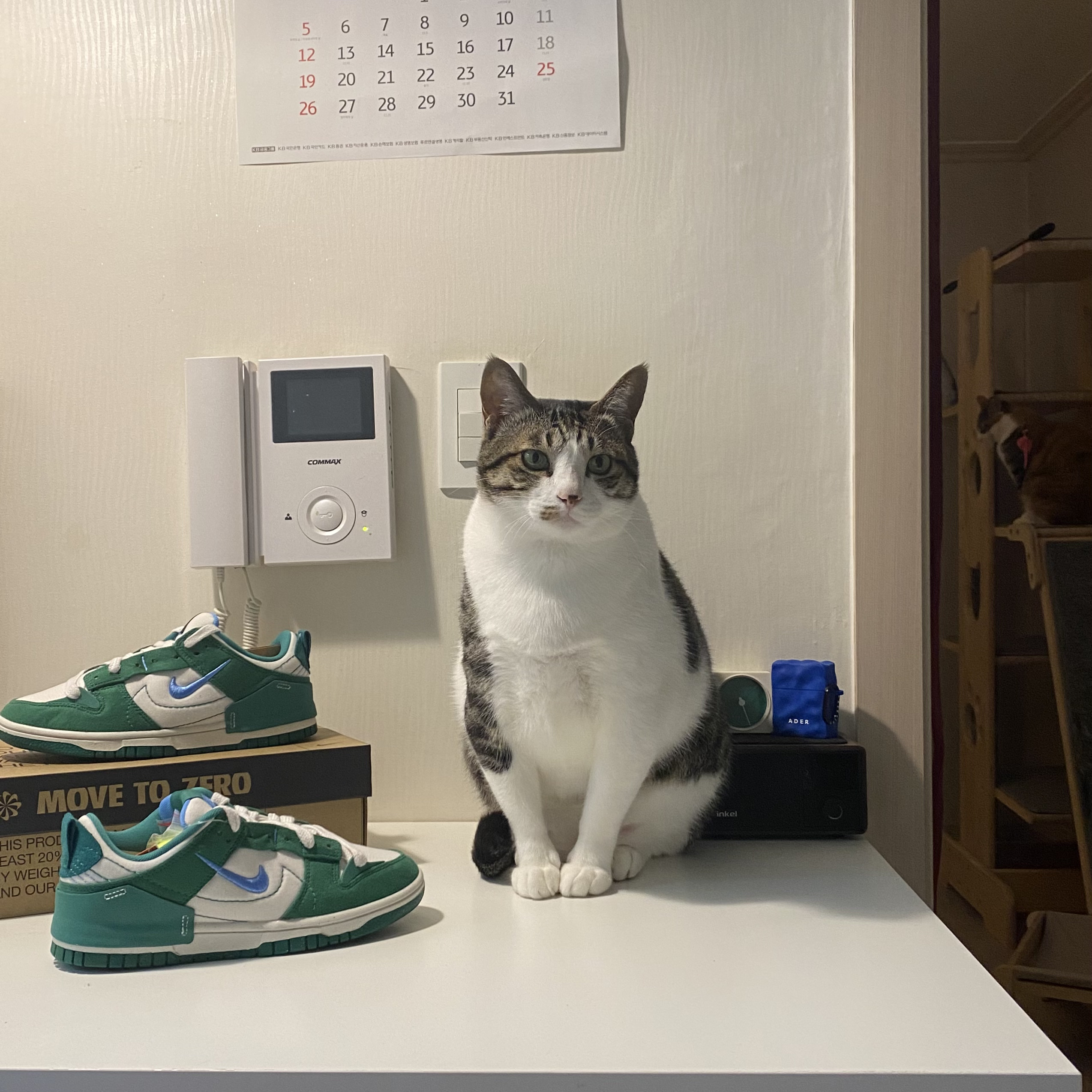 (W) Nike Dunk Low Disrupt 2 Phantom University Blue, Casetify x Ader Error AirPods Case 착용 스타일 - 3