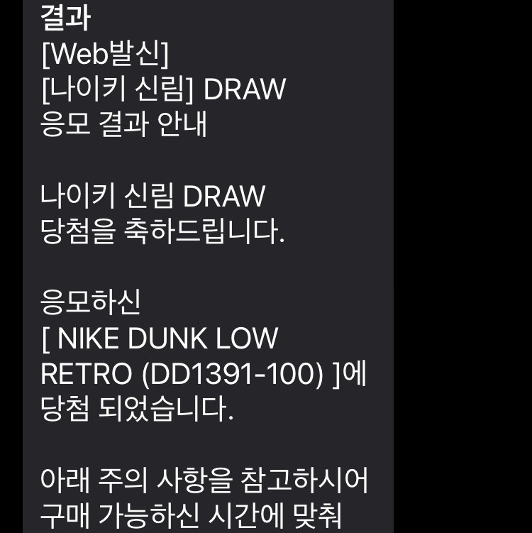 Nike Dunk Low Retro Black 착용 스타일 - 2
