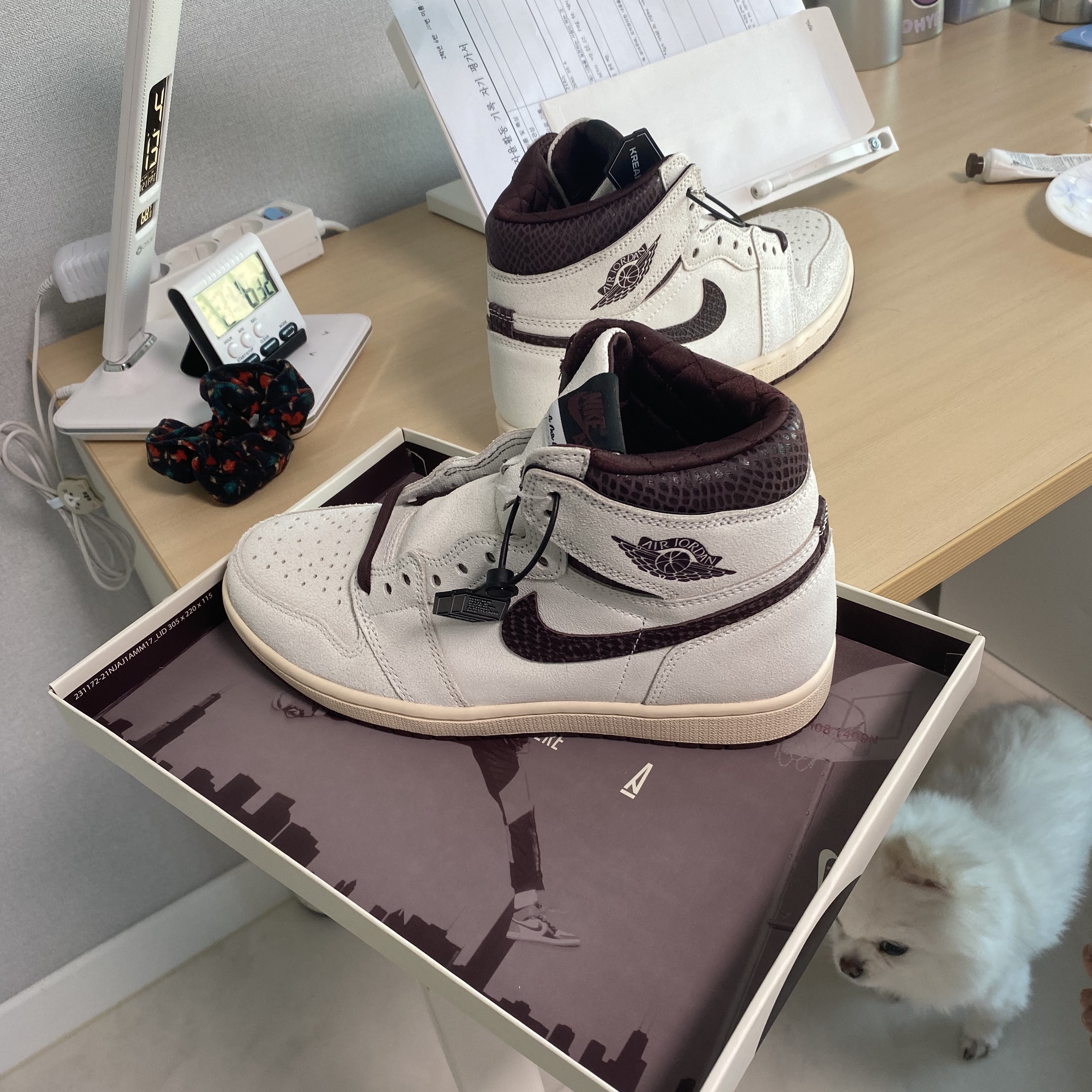 Jordan 1 x A Ma Maniere Retro High OG SP Sail and Burgundy 착용 스타일