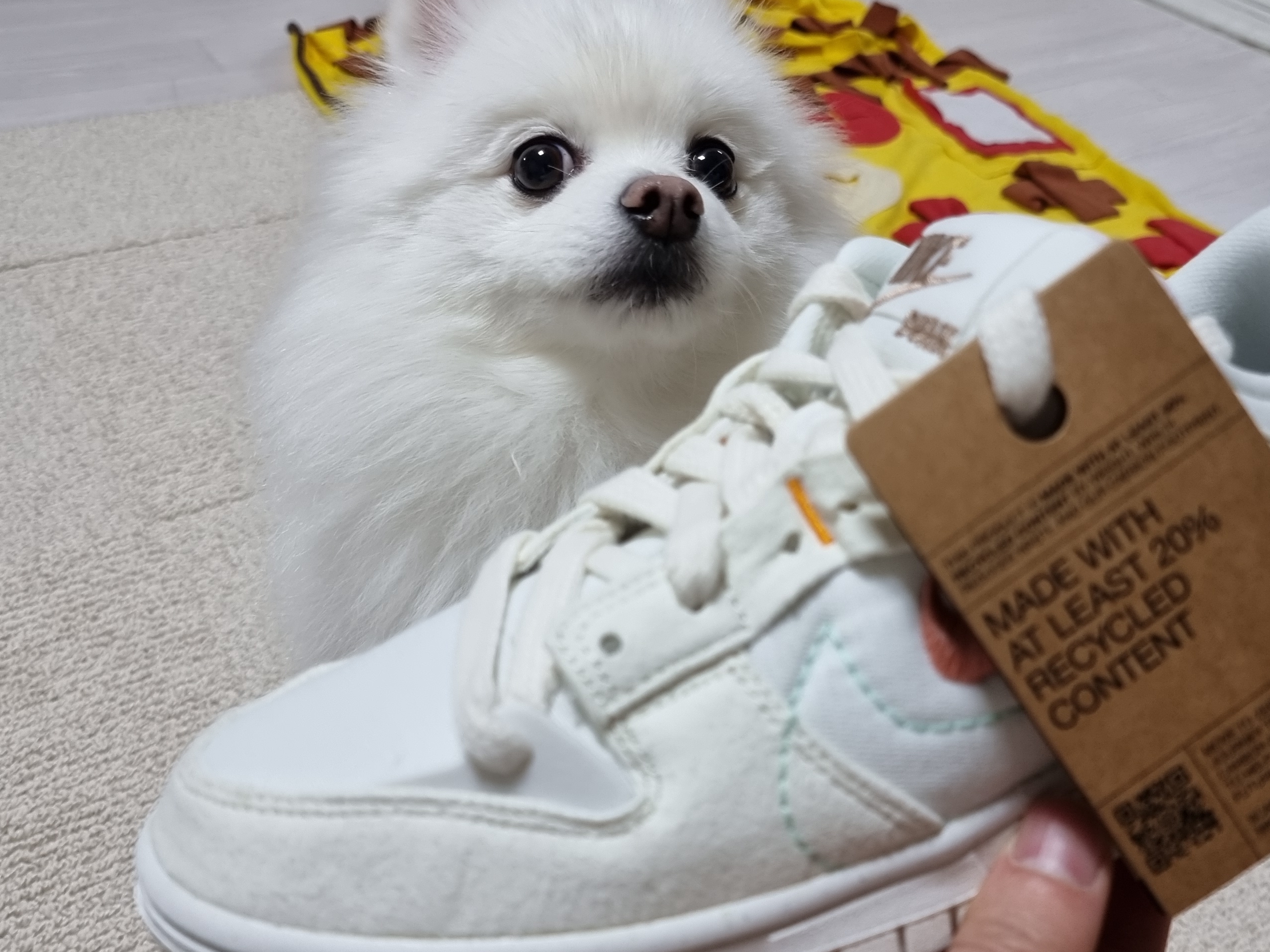(W) Nike Dunk Low Disrupt 2 Pale Ivory Sail 착용 스타일 - 1