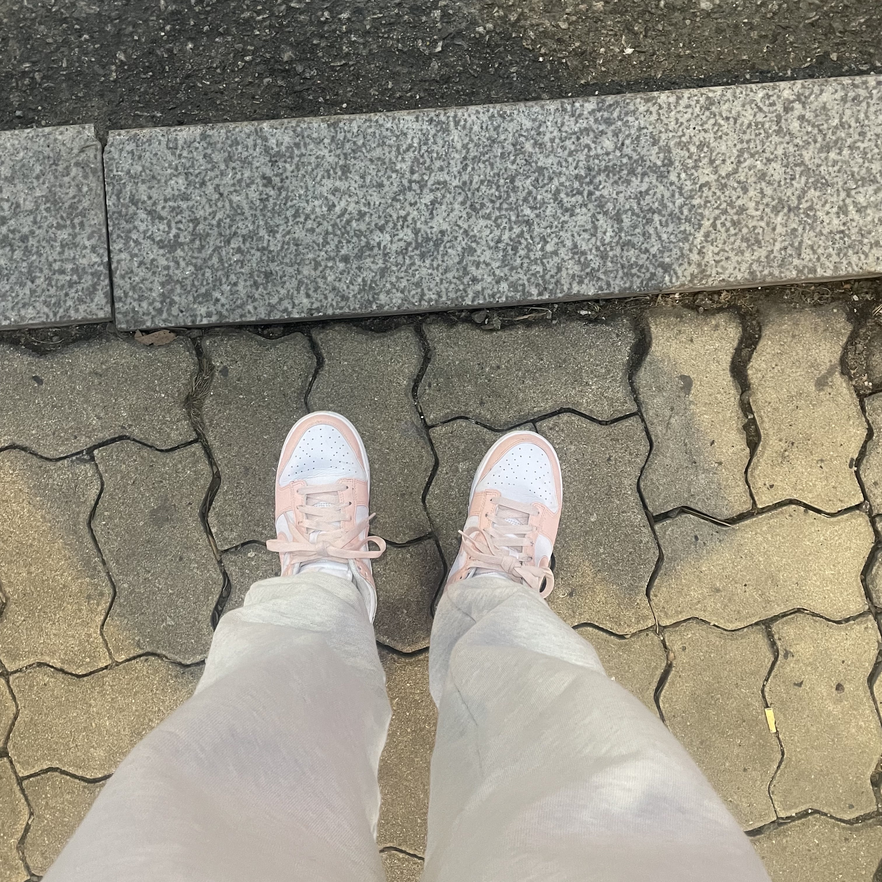 (W) Nike Dunk Low Next Nature Pale Coral 착용 스타일