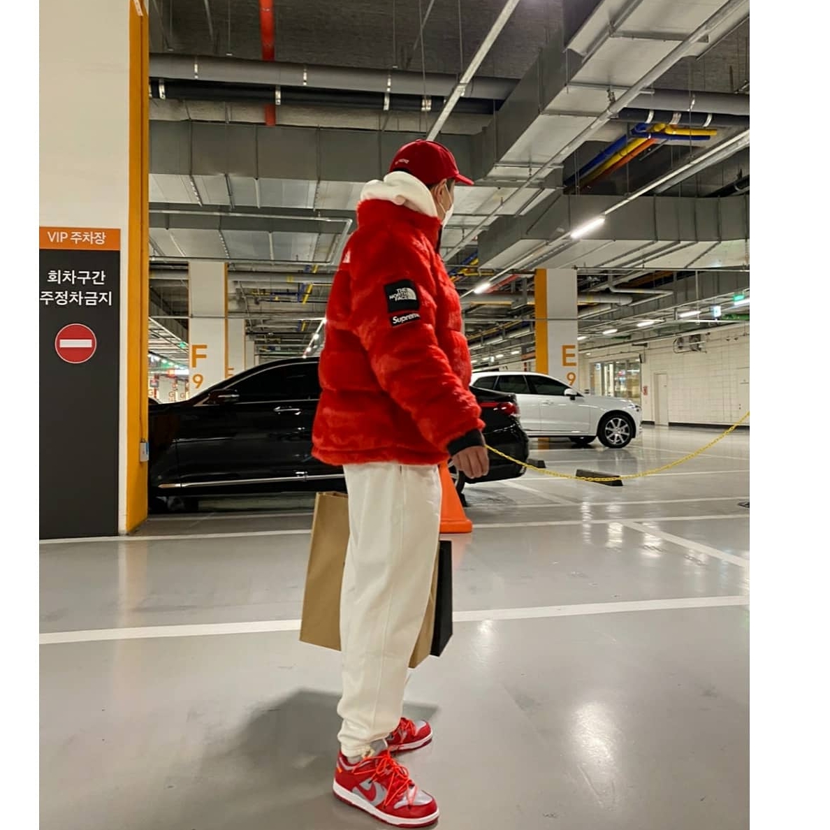 Supreme x The North Face Faux Fur Nuptse Jacket Red - 20FW, Nike SB Dunk Low Pro Chicago 착용 스타일 - 3
