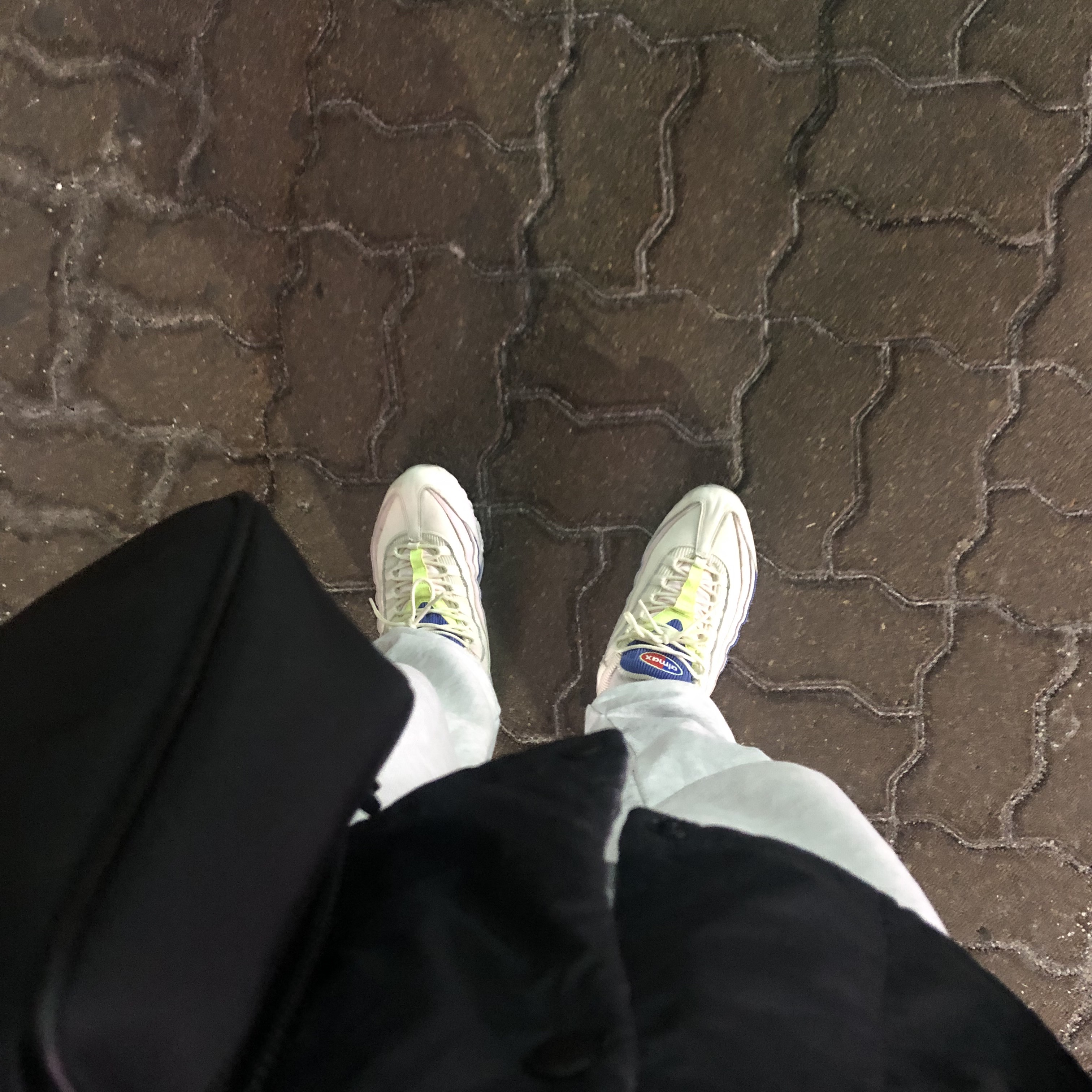 (W) Nike Air Max 95 Corduroy Panache 착용 스타일
