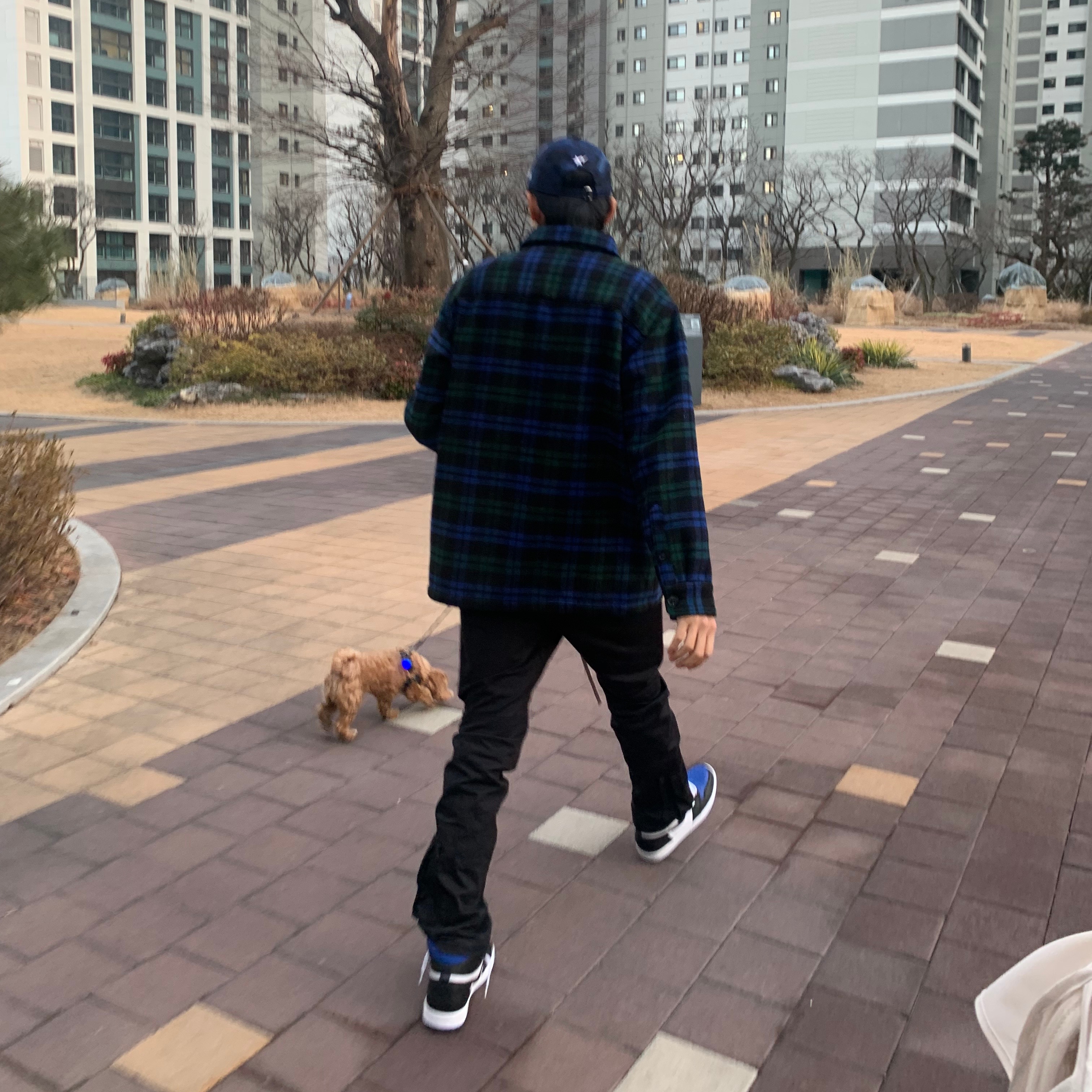 Jordan 1 Retro High OG Royal Toe 착용 스타일