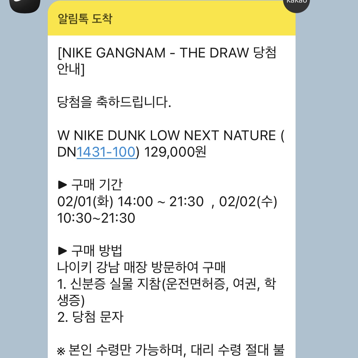 (W) Nike Dunk Low Next Nature Light Orewood Brown 착용 스타일