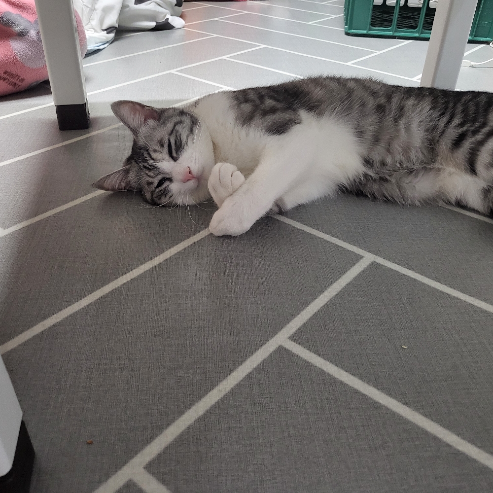 관심 유저 프로필 이미지