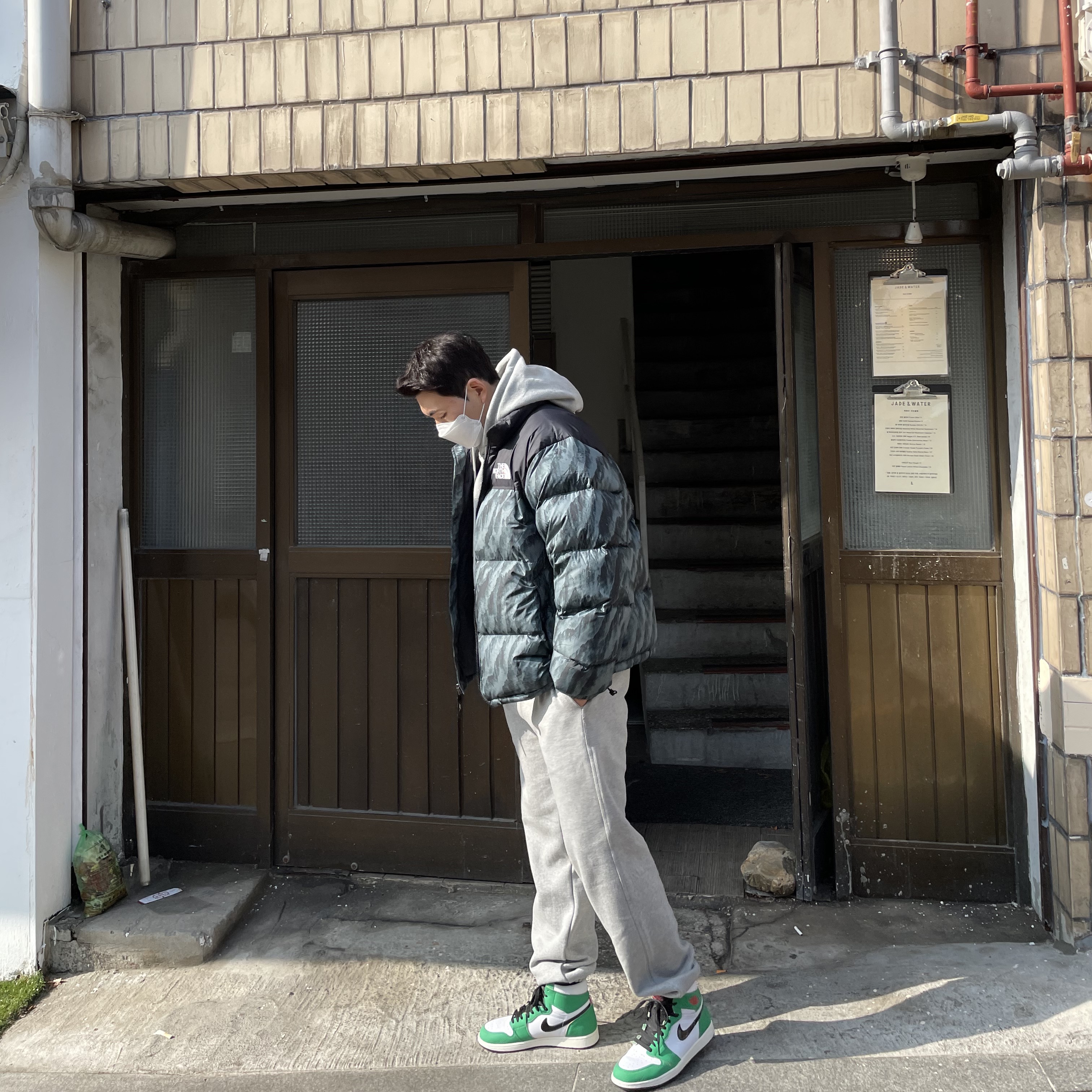 The North Face Printed 1996 Retro Nuptse Jacket Herb Garden, (W) Jordan 1 Retro High OG Lucky Green 착용 스타일