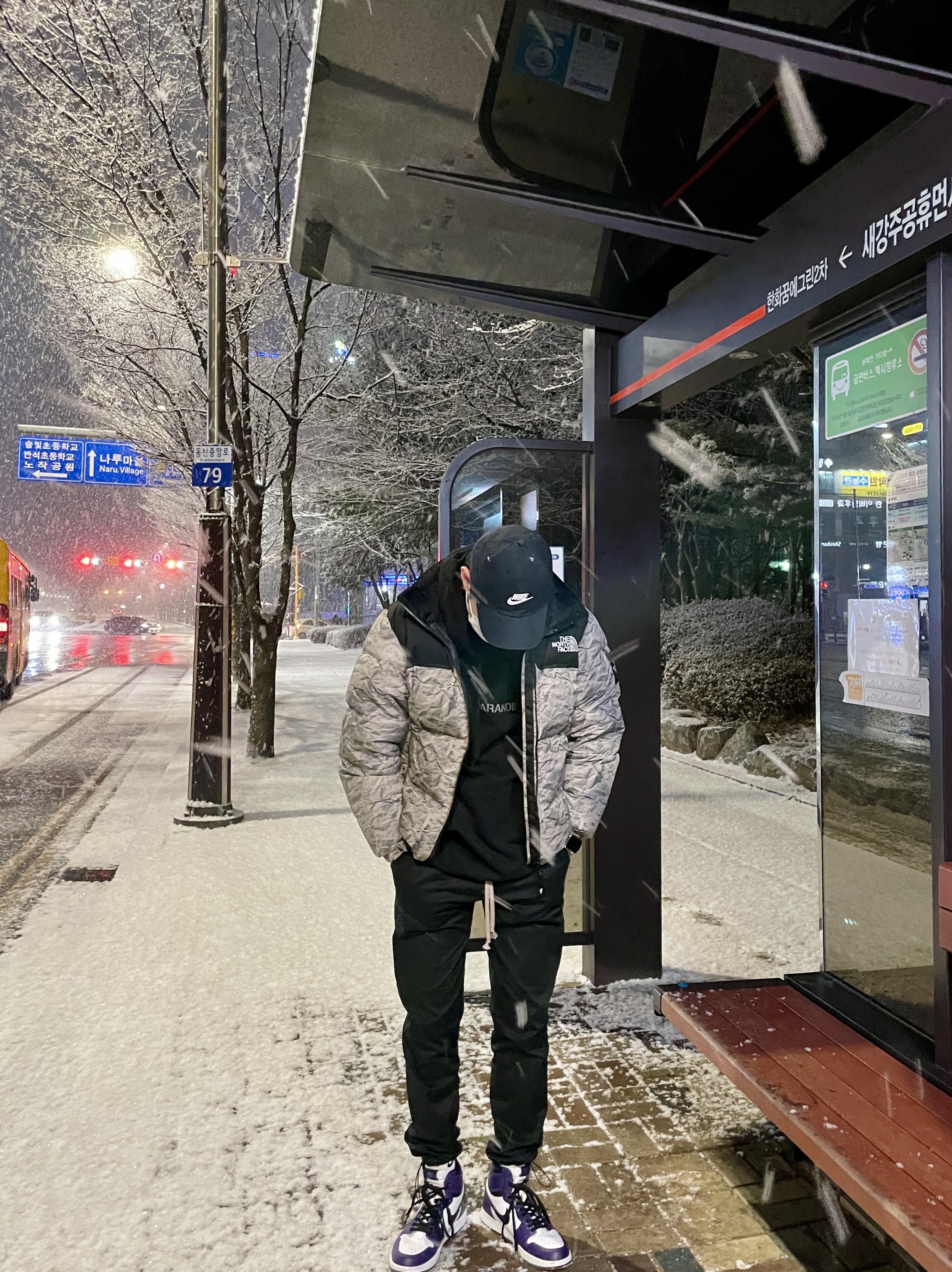 The North Face White Label Novelty Nuptse Down Jacket Beige, Jordan 1 Retro High OG Court Purple 2020 착용 스타일