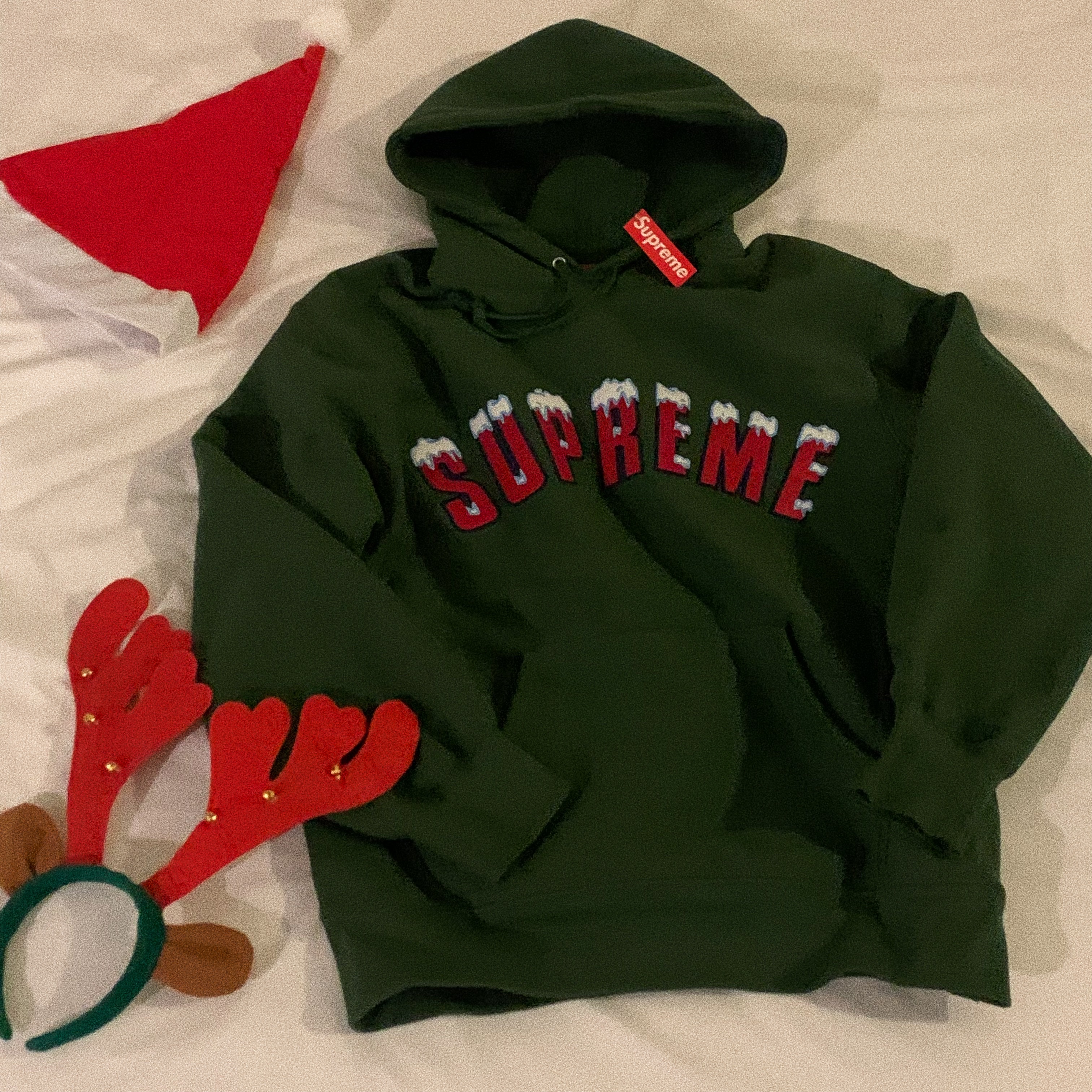 Supreme Icy Arc Hooded Sweatshirt Green - 20FW 착용 스타일
