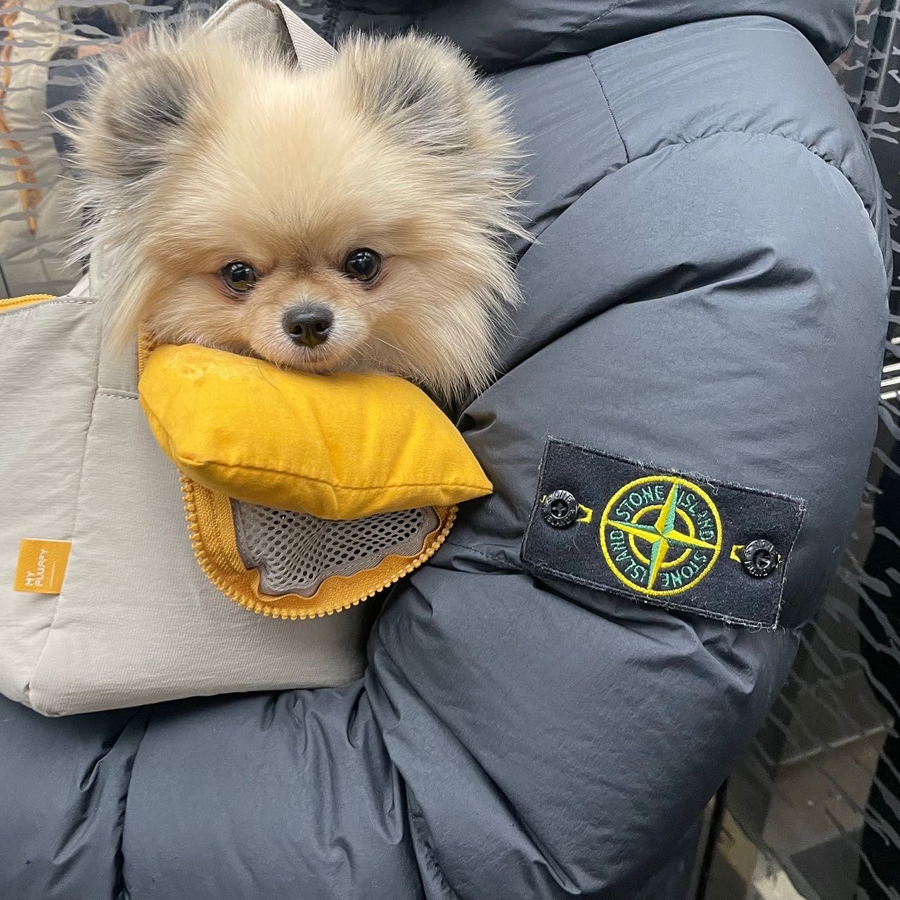 Stone Island 70123 Crinkle Reps Hooded Long Down Jacket Dark Grey - 21FW, Stone Island 318L1 T.CO+OLD Cargo Pants Black - 21FW 착용 스타일 - 2