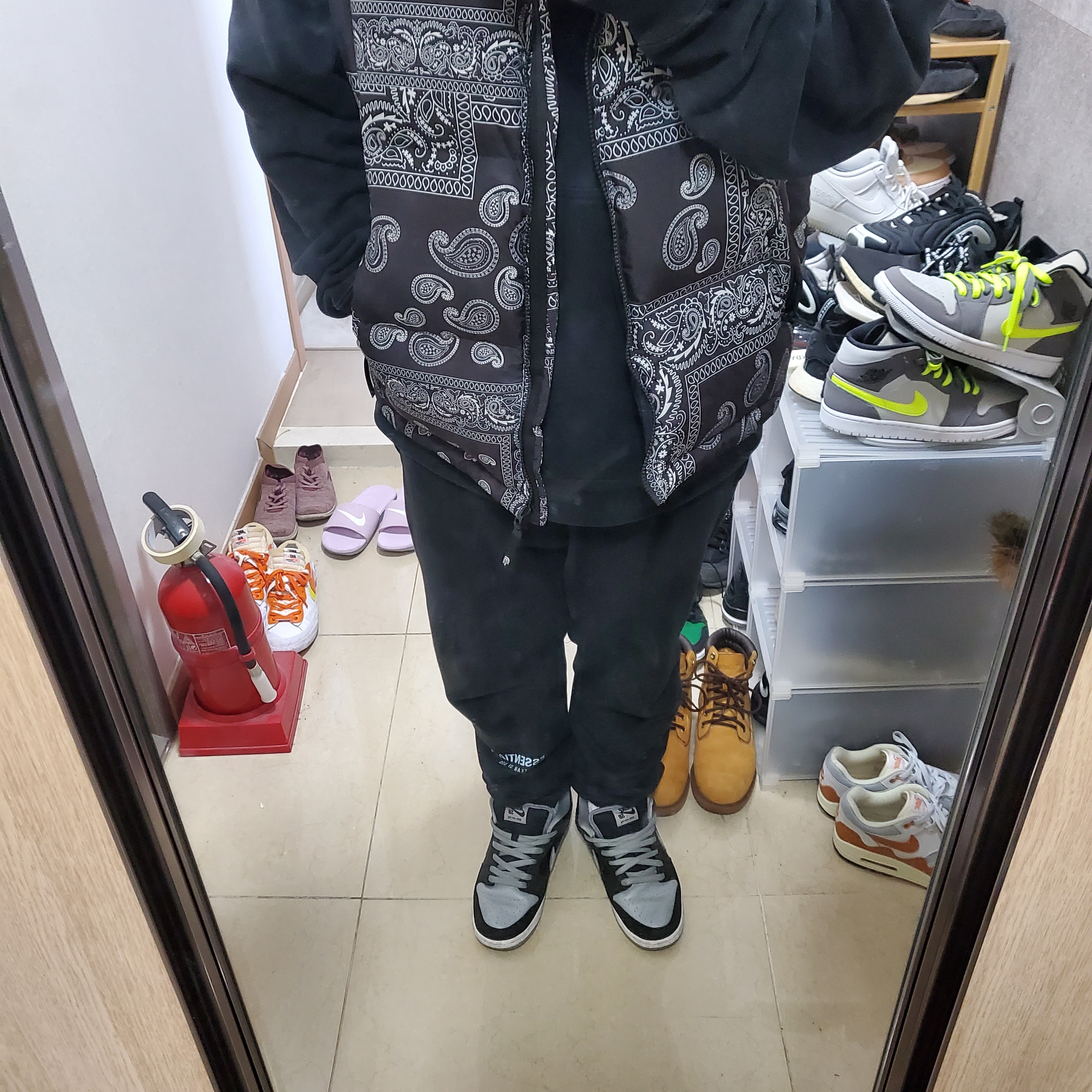 Nike SB Dunk Low Pro Shadow, The North Face Nuptse Down Vest Black 착용 스타일
