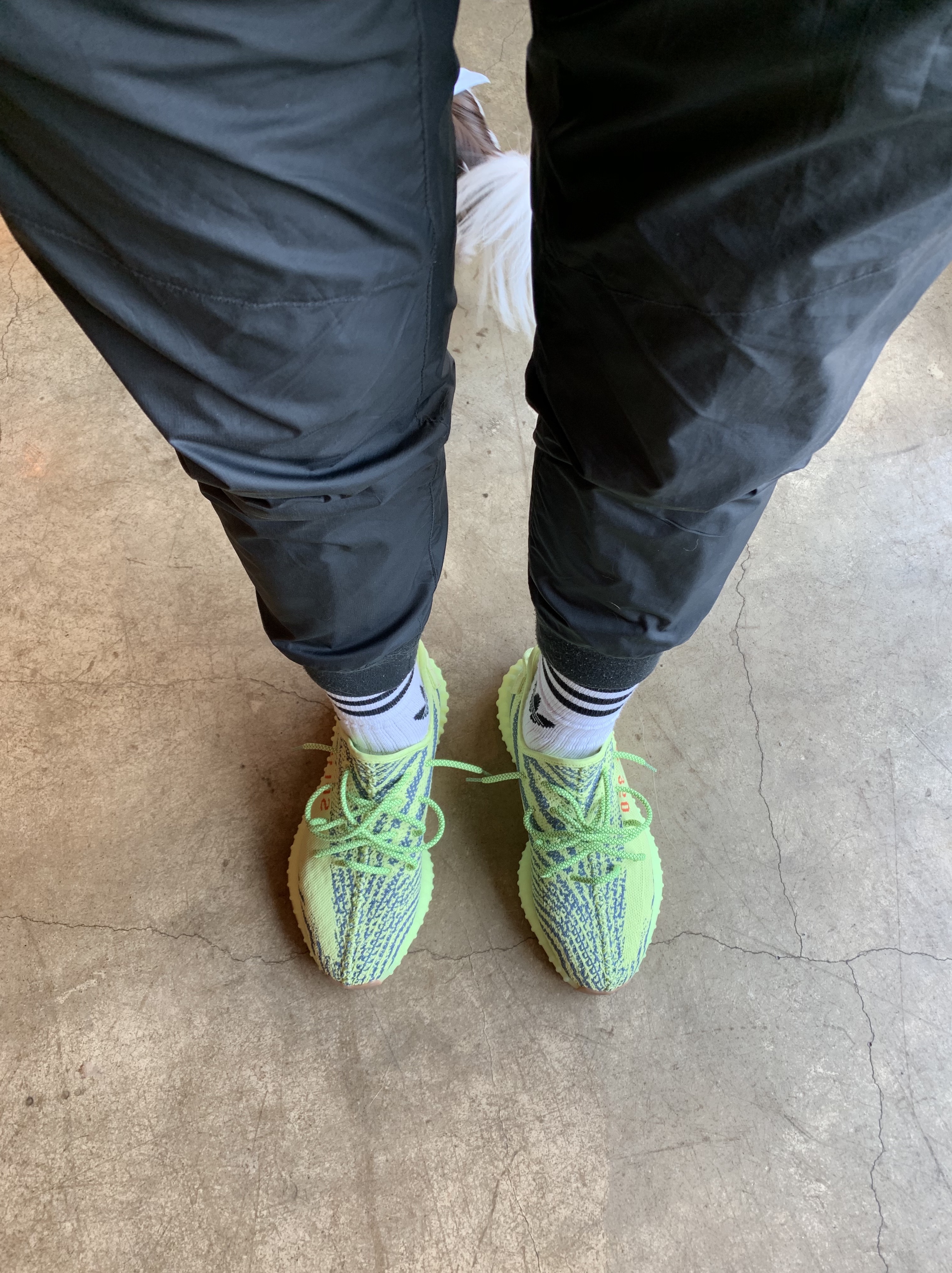 Adidas Yeezy Boost 350 V2 Semi Frozen Yellow 착용 스타일 - 2