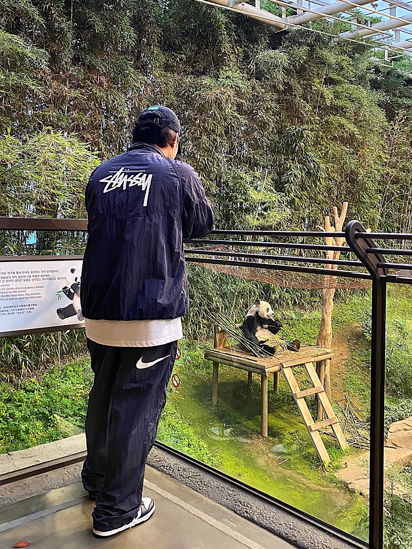 Nike x Stussy Windrunner Jacket Off Noir, Nike x Stussy Beach Pants Off Noir 착용 스타일