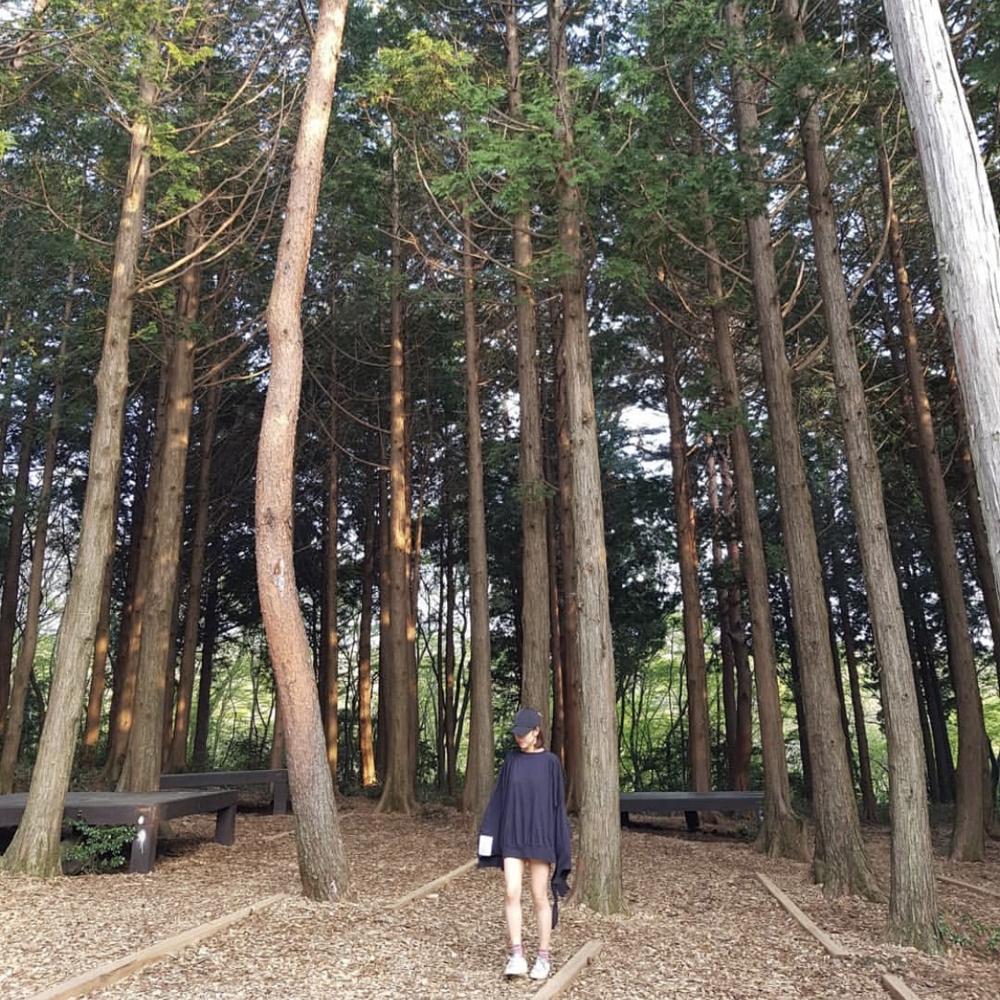 crystal님의 스타일