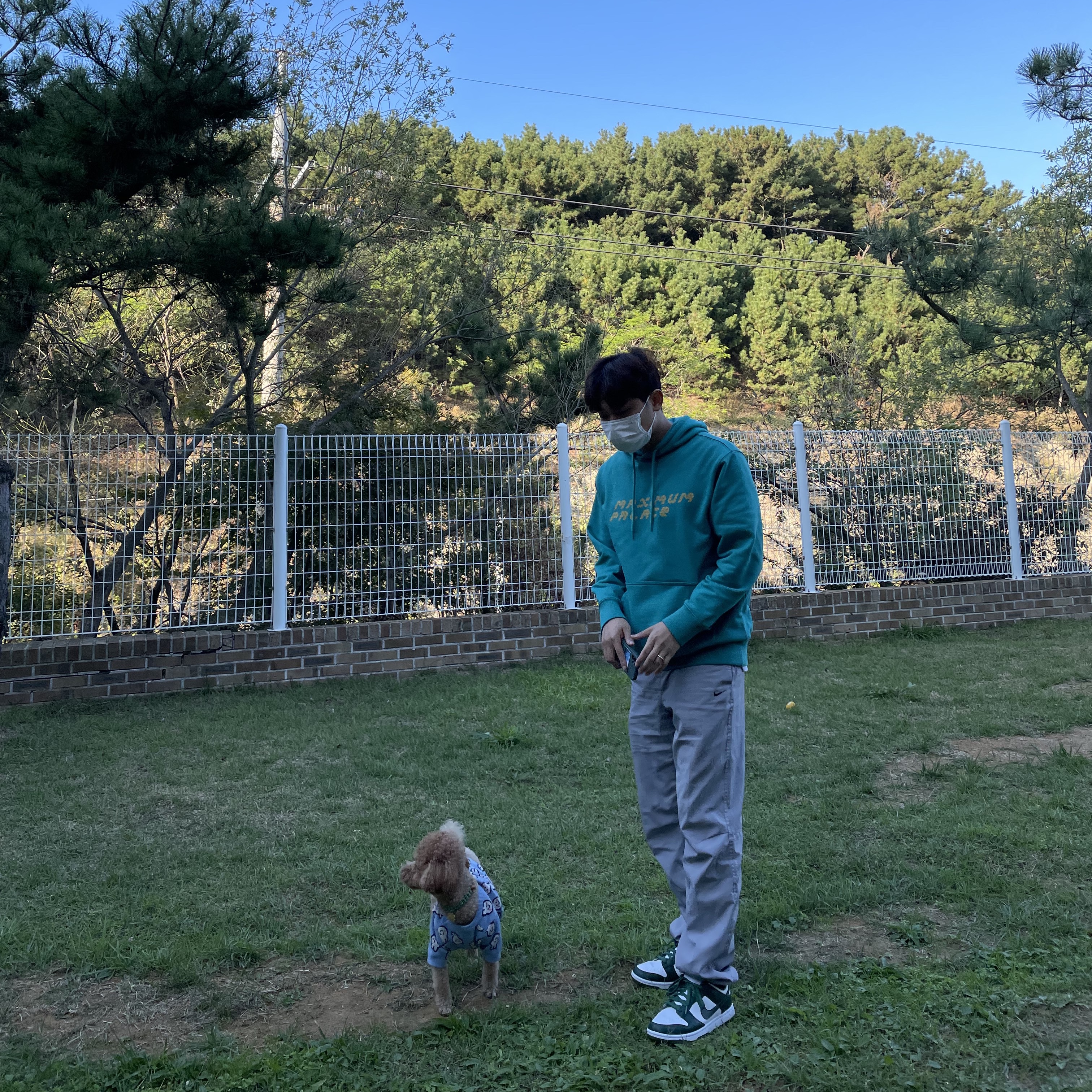 Nike Dunk Low Retro Varsity Green 착용 스타일