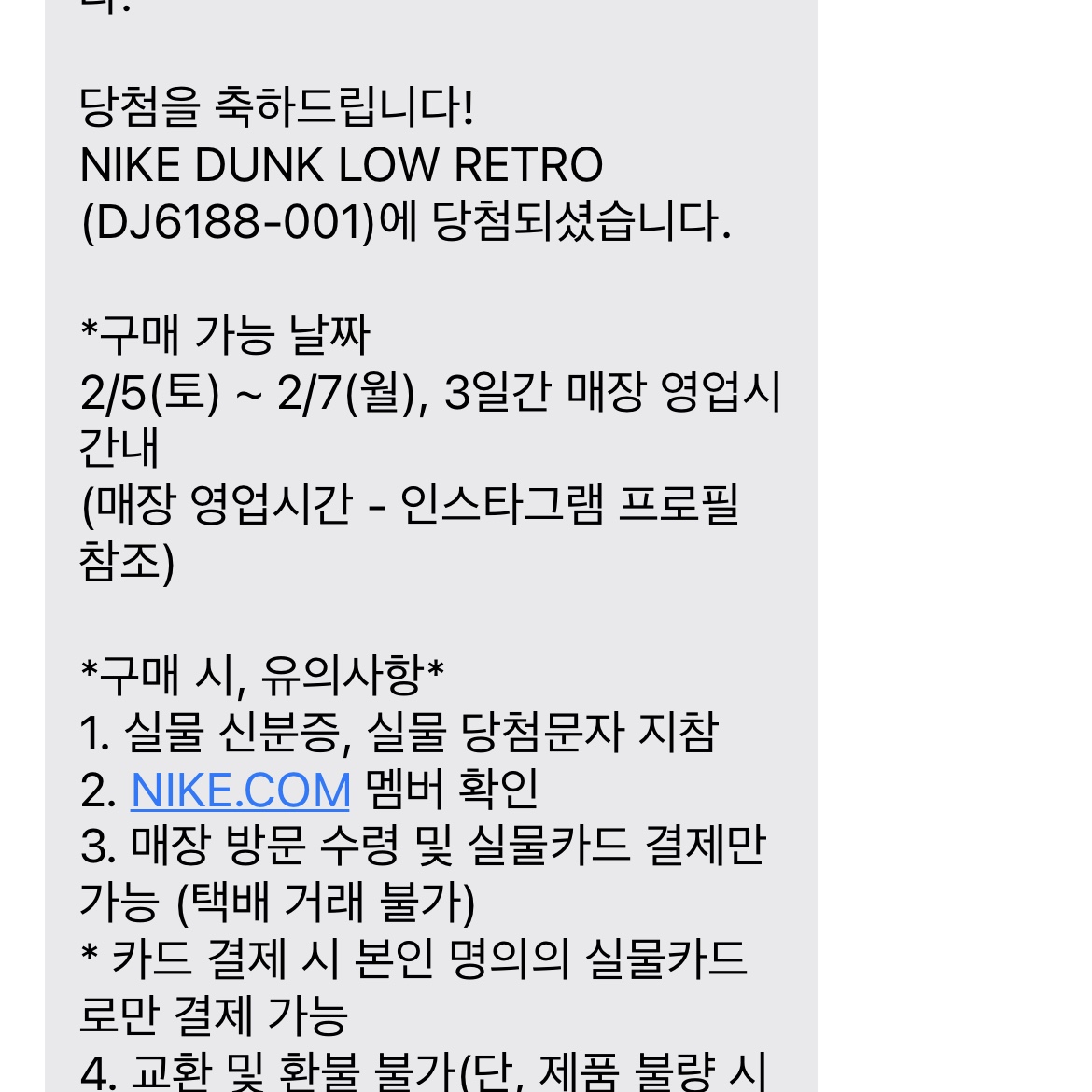 Nike Dunk Low Retro Wolf Grey 착용 스타일