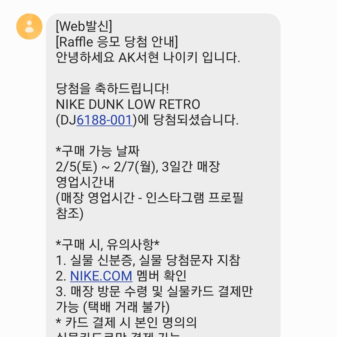 Nike Dunk Low Retro Wolf Grey 착용 스타일