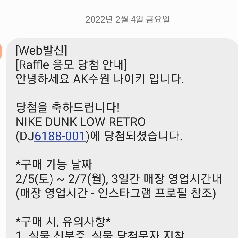 Nike Dunk Low Retro Grey Fog 착용 스타일