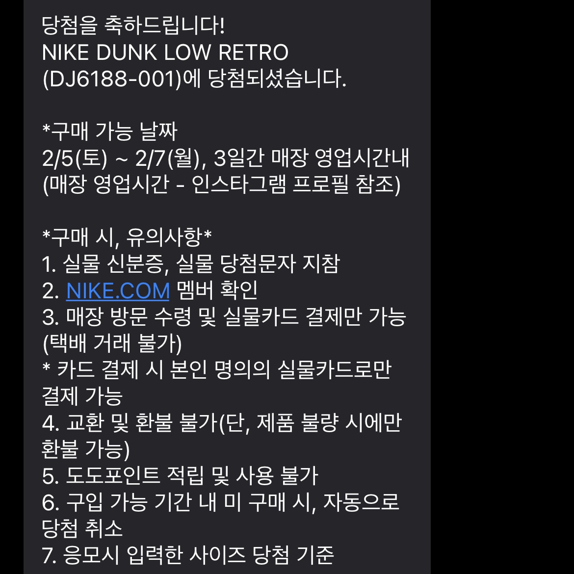 Nike Dunk Low Retro Wolf Grey 착용 스타일