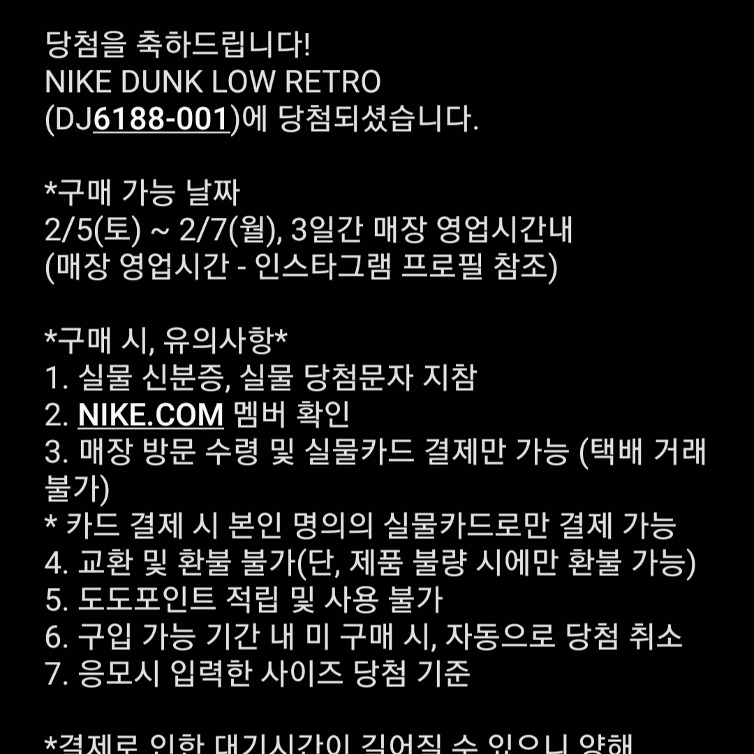 Nike Dunk Low Retro Wolf Grey 착용 스타일