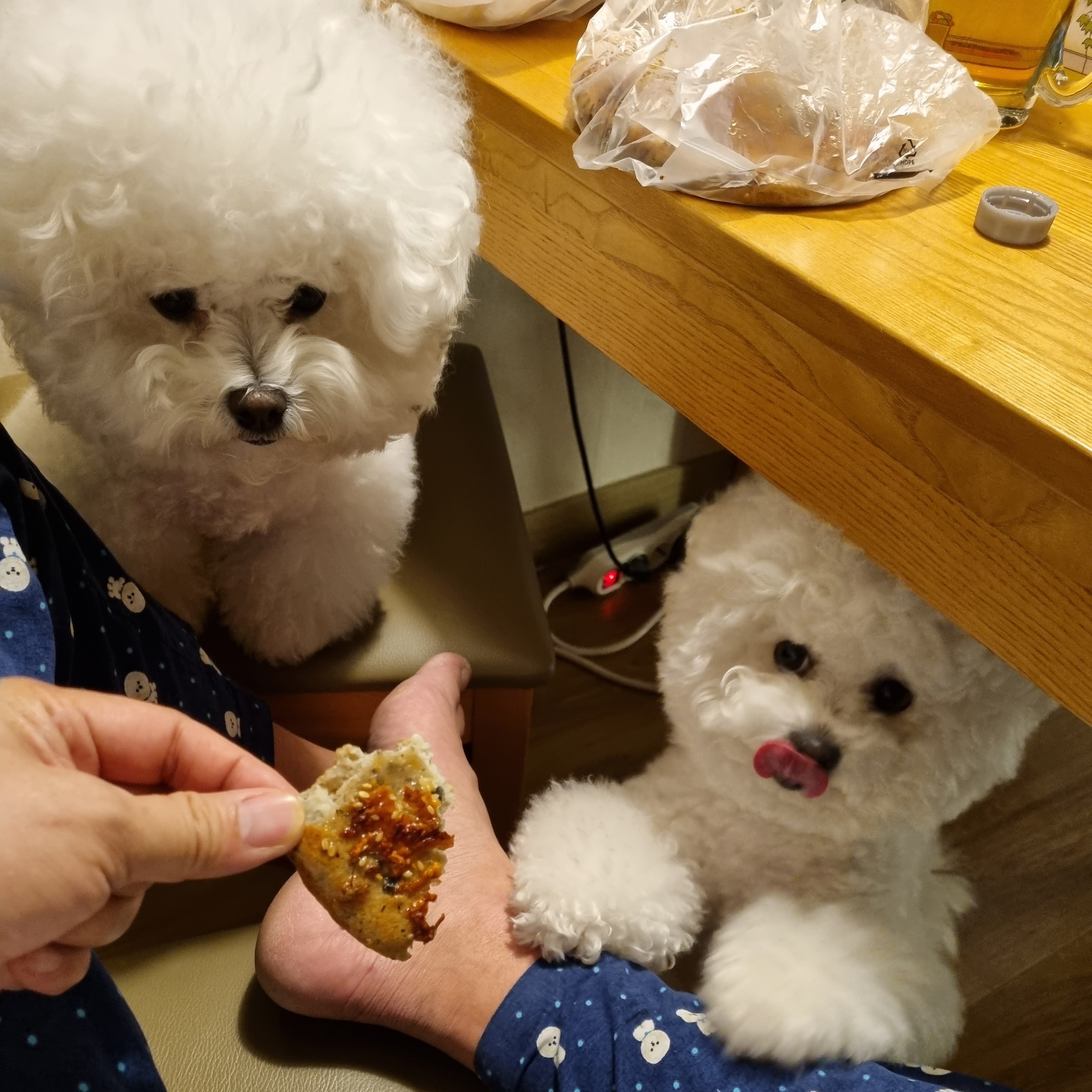 몽시리아빠님의 스타일