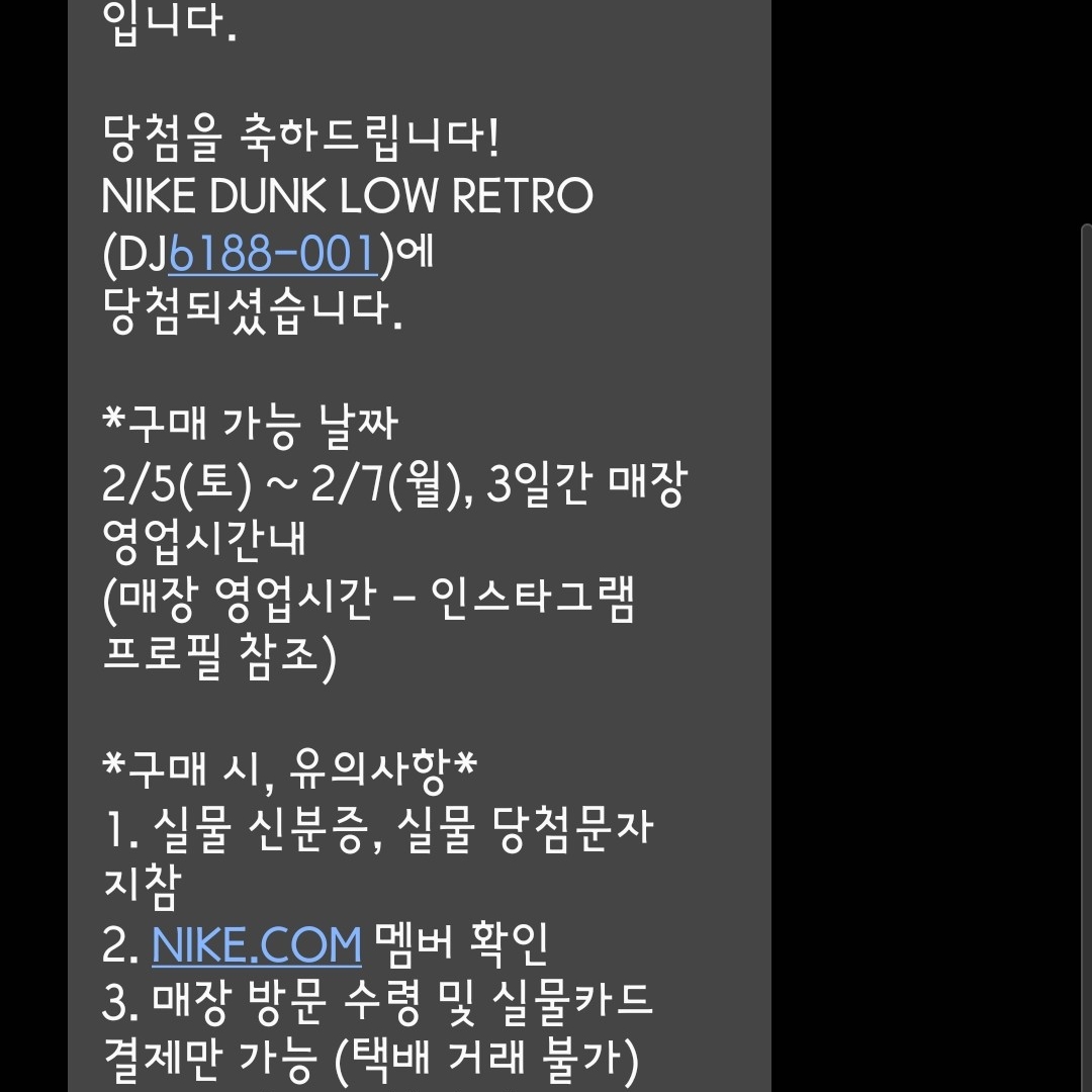 Nike Dunk Low Retro Wolf Grey 착용 스타일