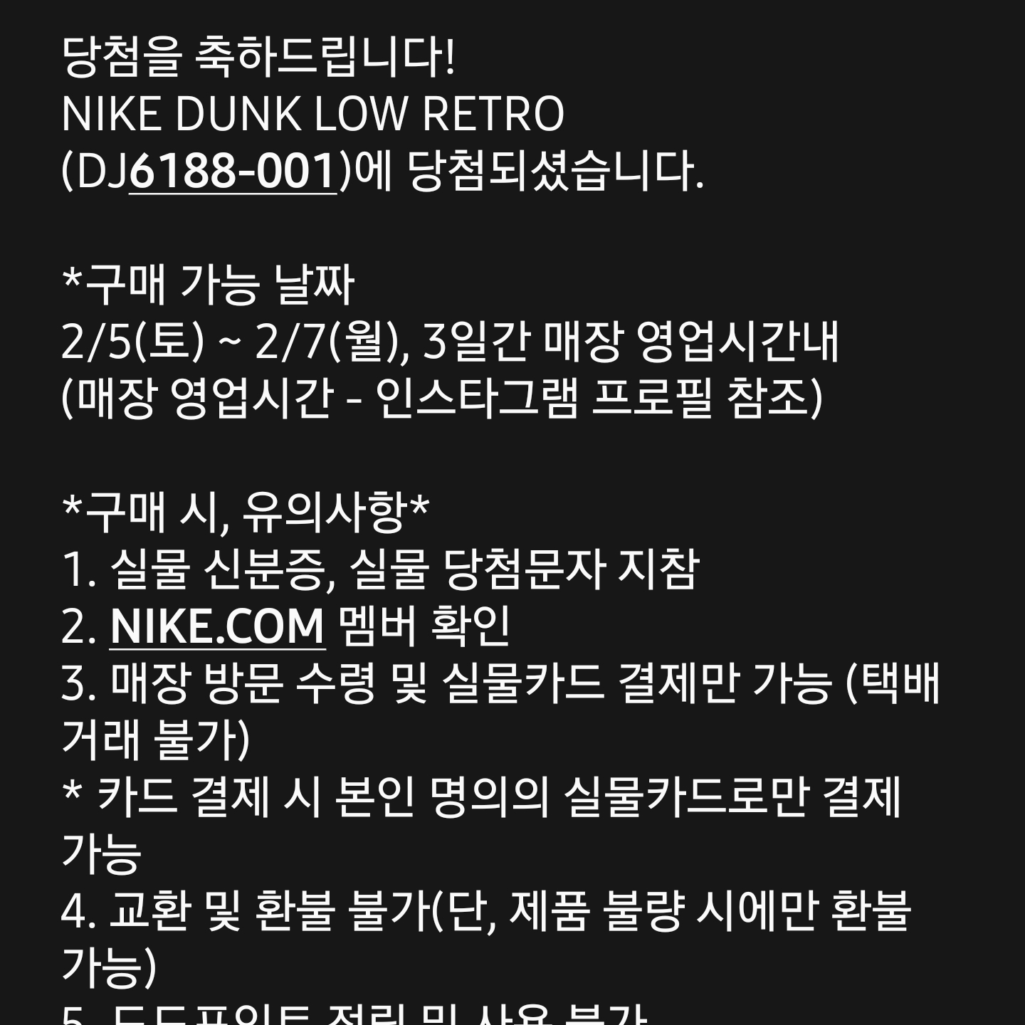 Nike Dunk Low Retro Wolf Grey 착용 스타일