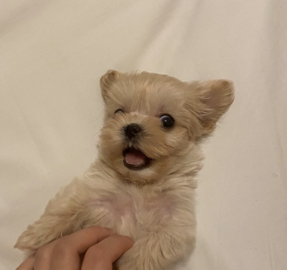 관심 유저 프로필 이미지