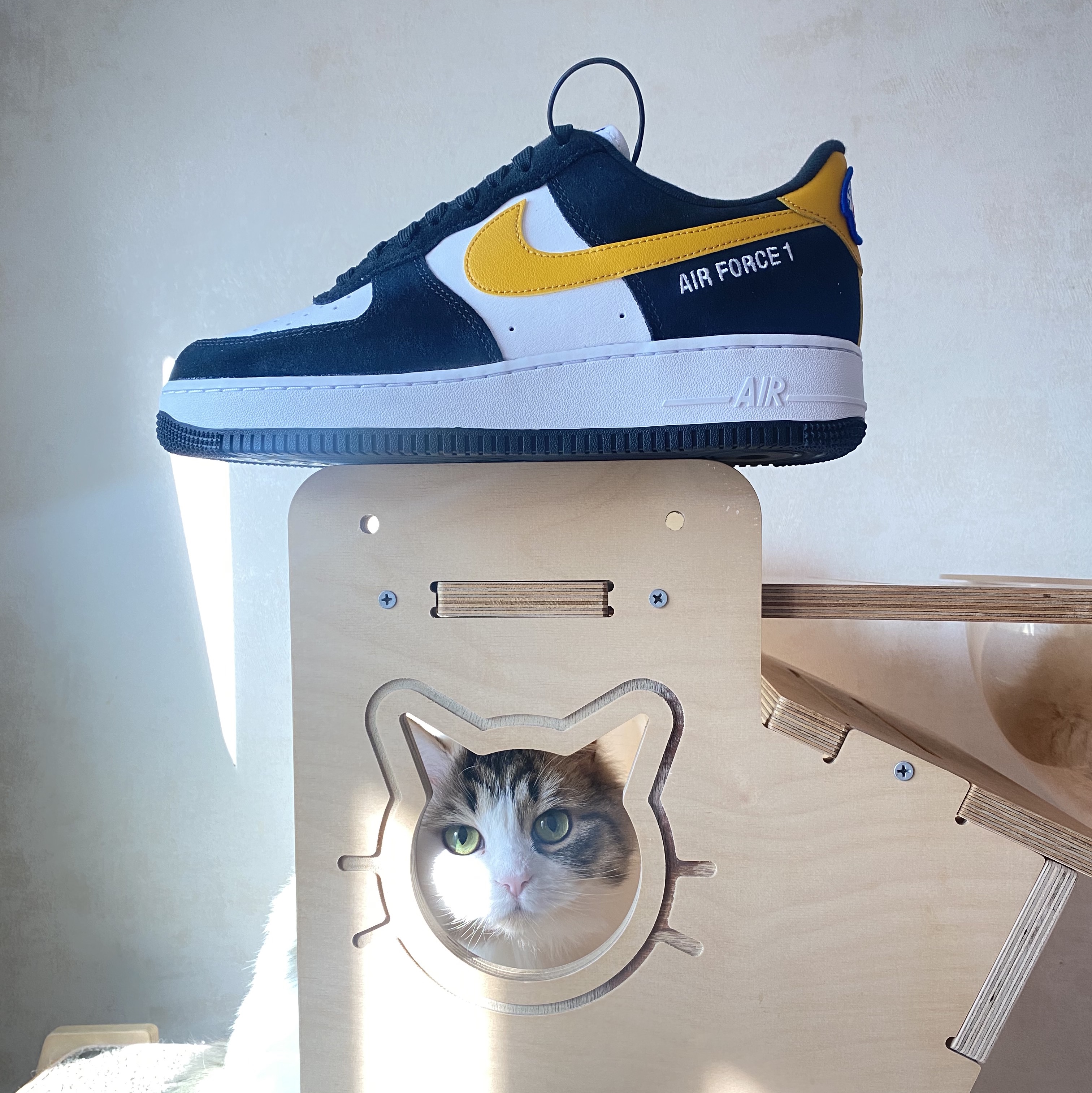Nike Air Force 1 '07 LV8 Athletic Club Black Dark Sulfur 착용 스타일