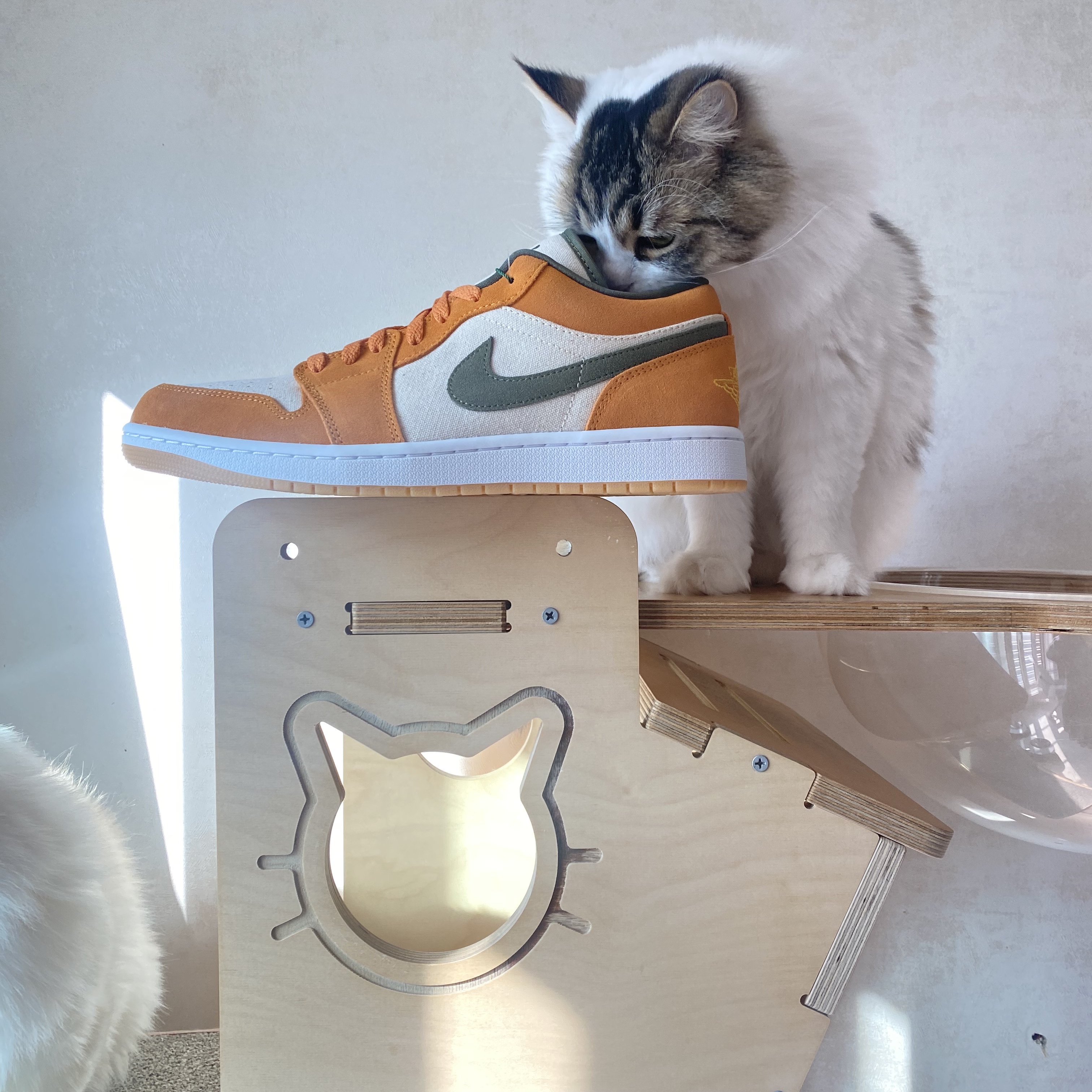 Jordan 1 Low SE Light Curry 착용 스타일