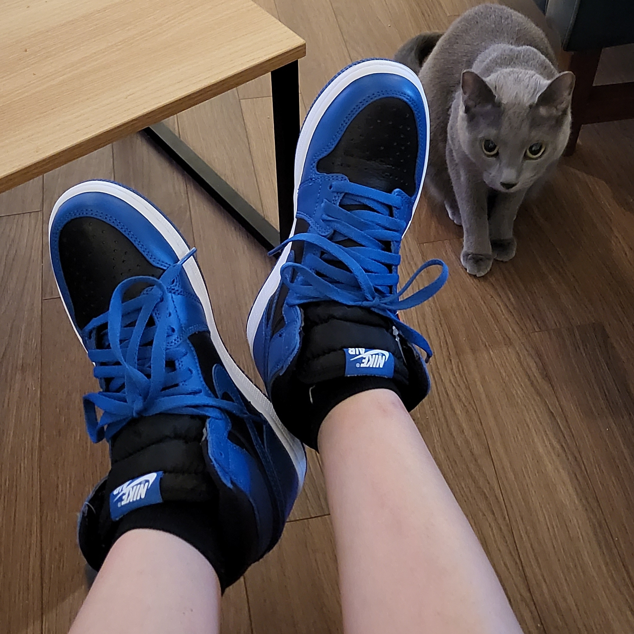 Jordan 1 Retro High OG Dark Marina Blue 착용 스타일