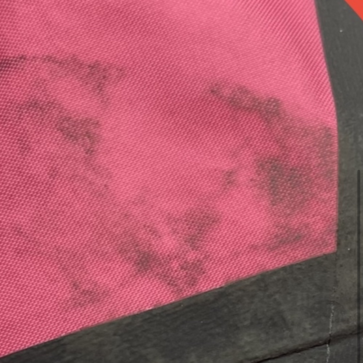 Supreme x The North Face Summit Series Outer Tape Seam Jacket Pink - 21SS 착용 스타일 - 5