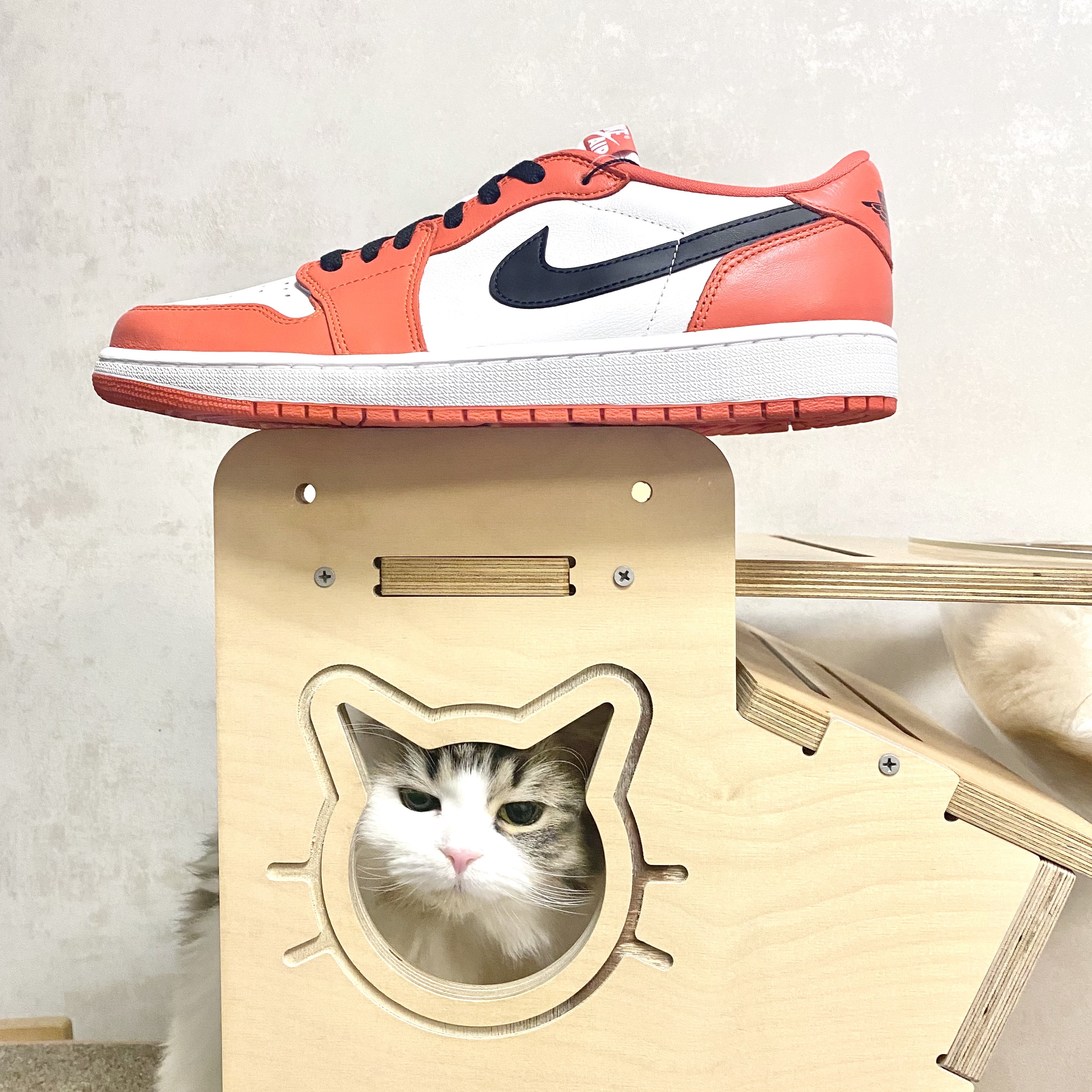Jordan 1 Low OG Starfish 착용 스타일
